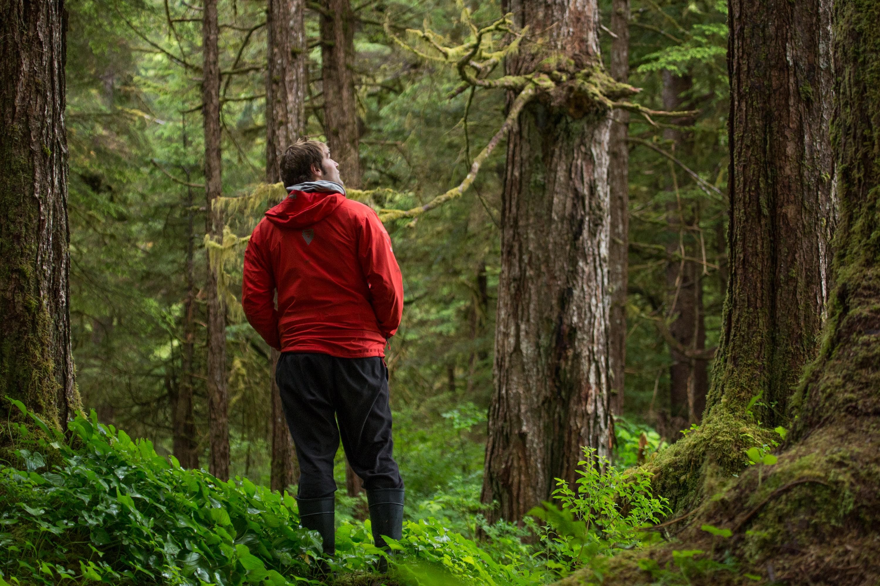 Hiking in the temperate rainforests of Alaska.