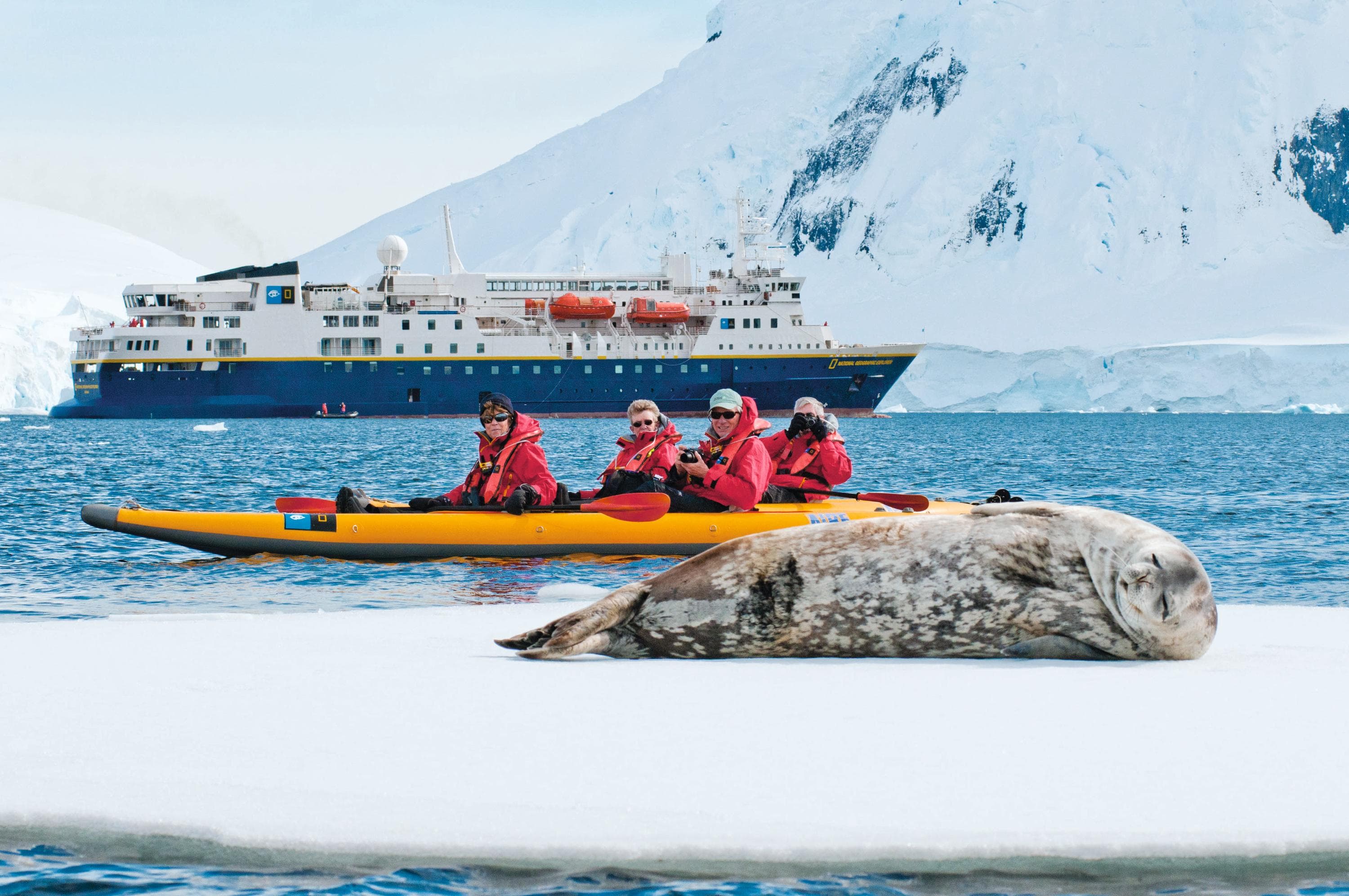 Guests explore by kayak from the ship National Geographic Explorer and enjoy seeing a Weddell Seal in Antarctica.
