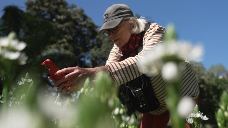 Video: Crafting Compelling Visual Stories in the Azores - Video