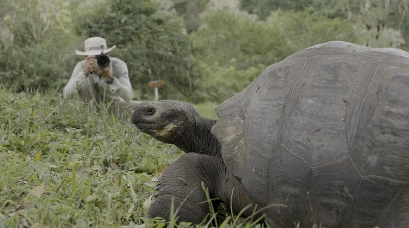 In Good Company: Growing Up in Galápagos with Ramiro Adrian - Video
