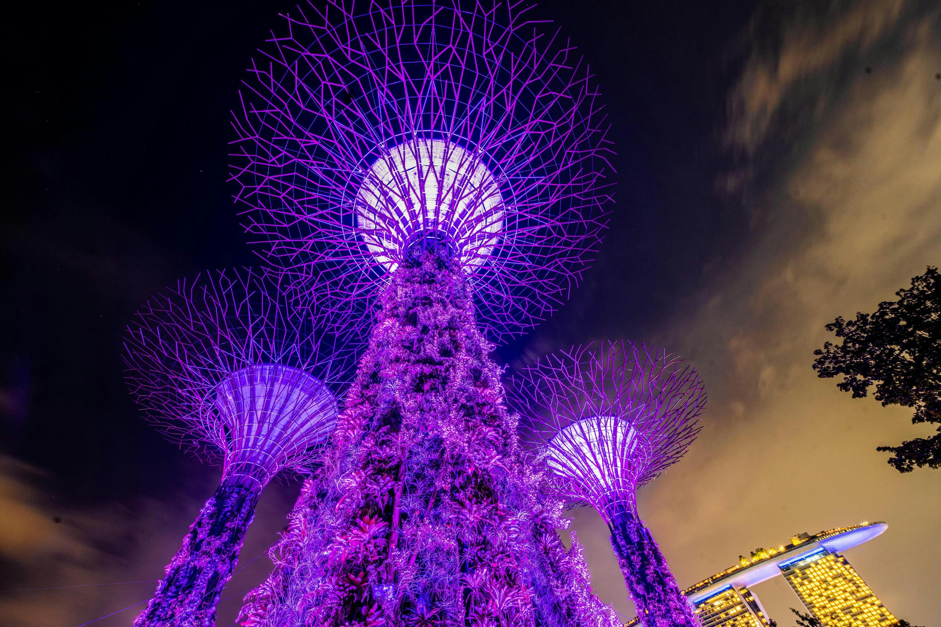 The Gardens by the Bay is a nature park spanning 250 acres consisting of three waterfront gardens: Bay South Garden, Bay East Garden and Bay Central Garden. Singapore