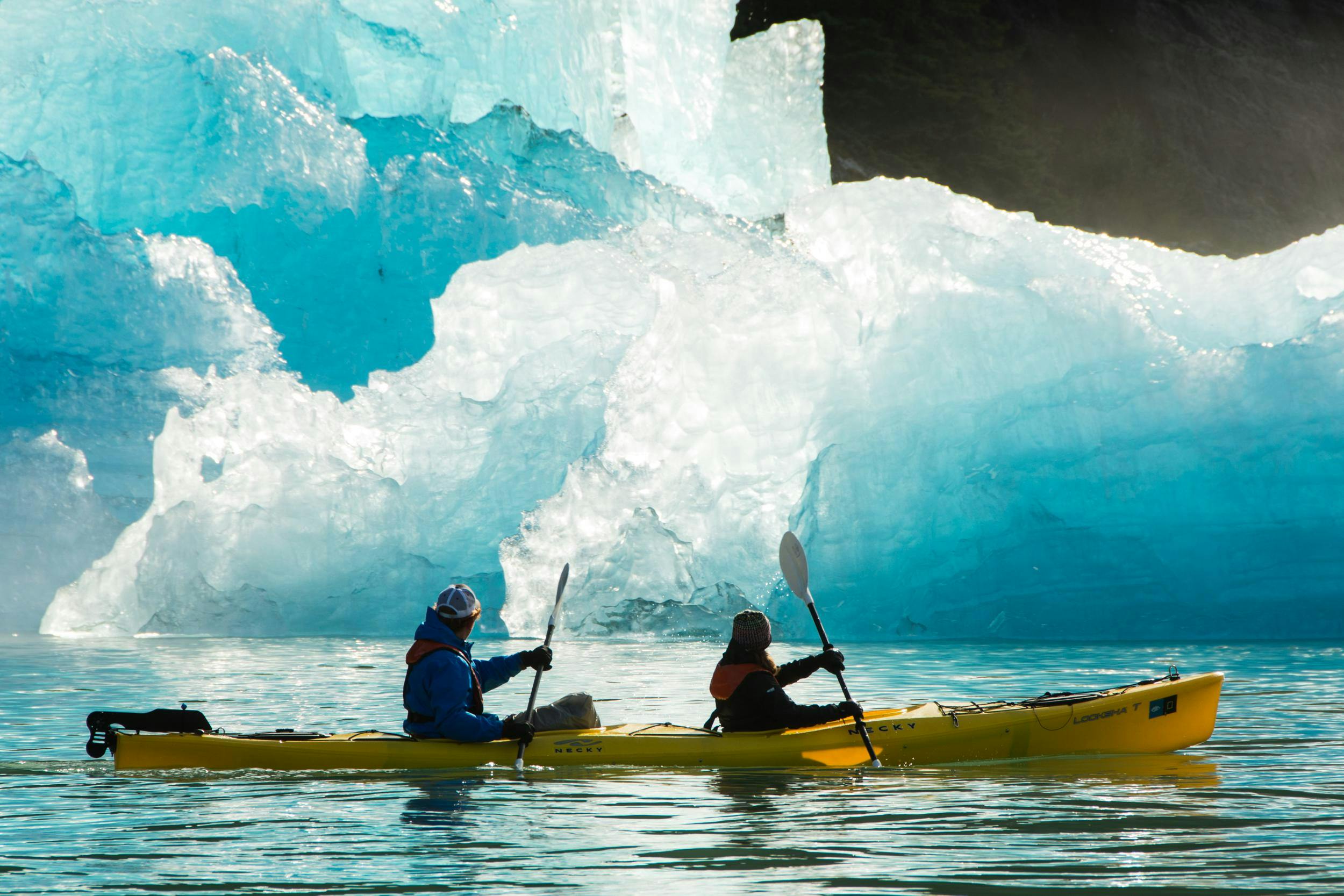 Guests kayaking through scenic Endicott Arm Fjord, Alaska