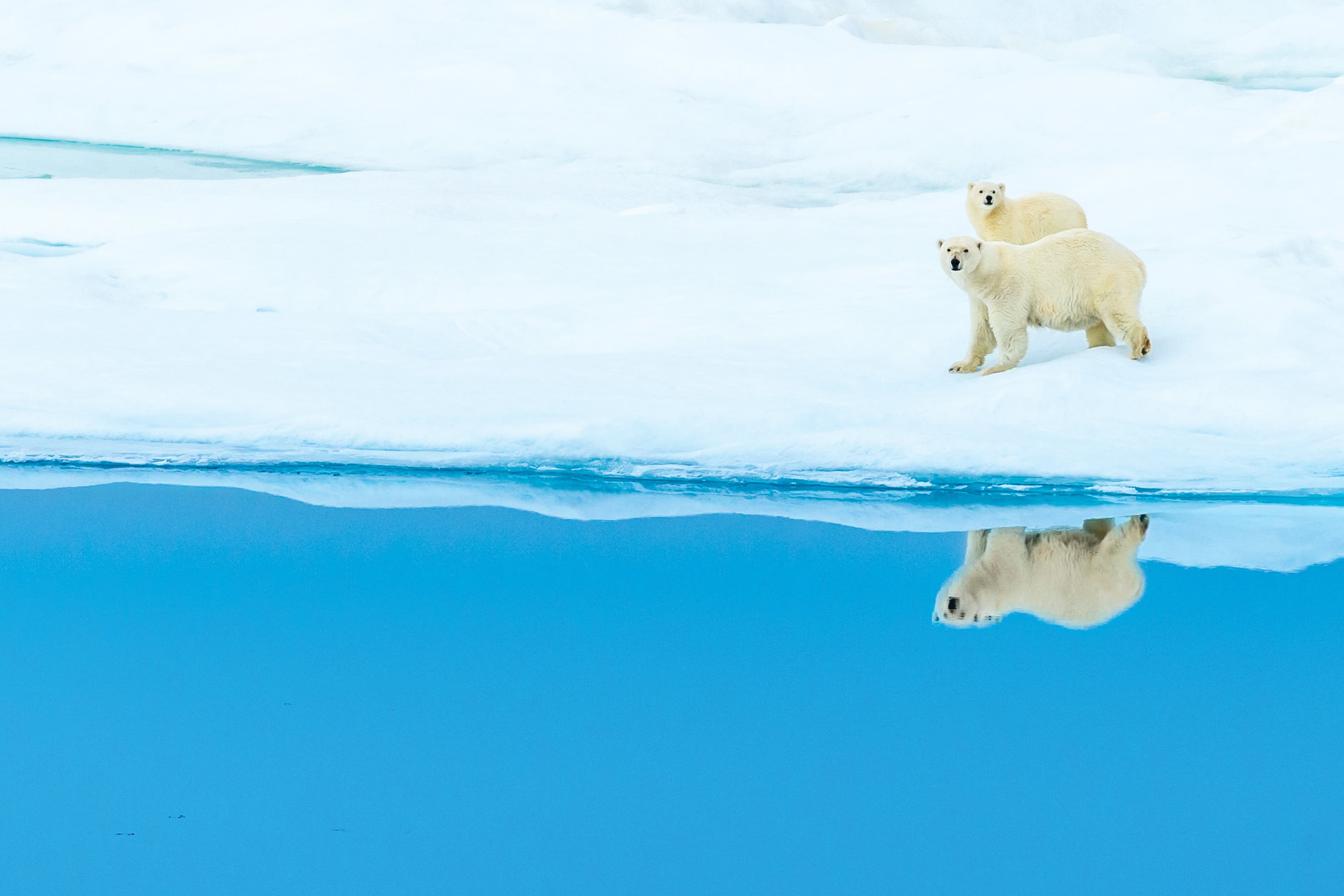 Large RGB-Lindblad Expeditions-Canada Nunavut CAN186.jpg