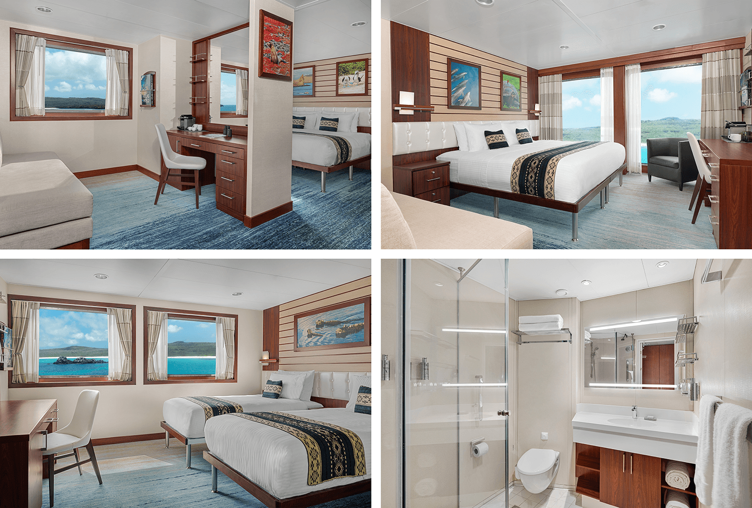 ETII_comp 4-cat 5.png