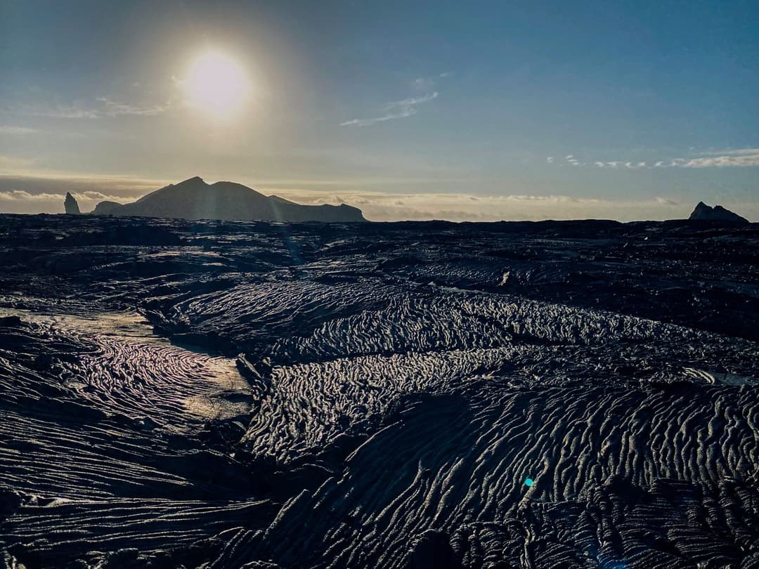 Photos of the Week, June 13, 2025 - Article