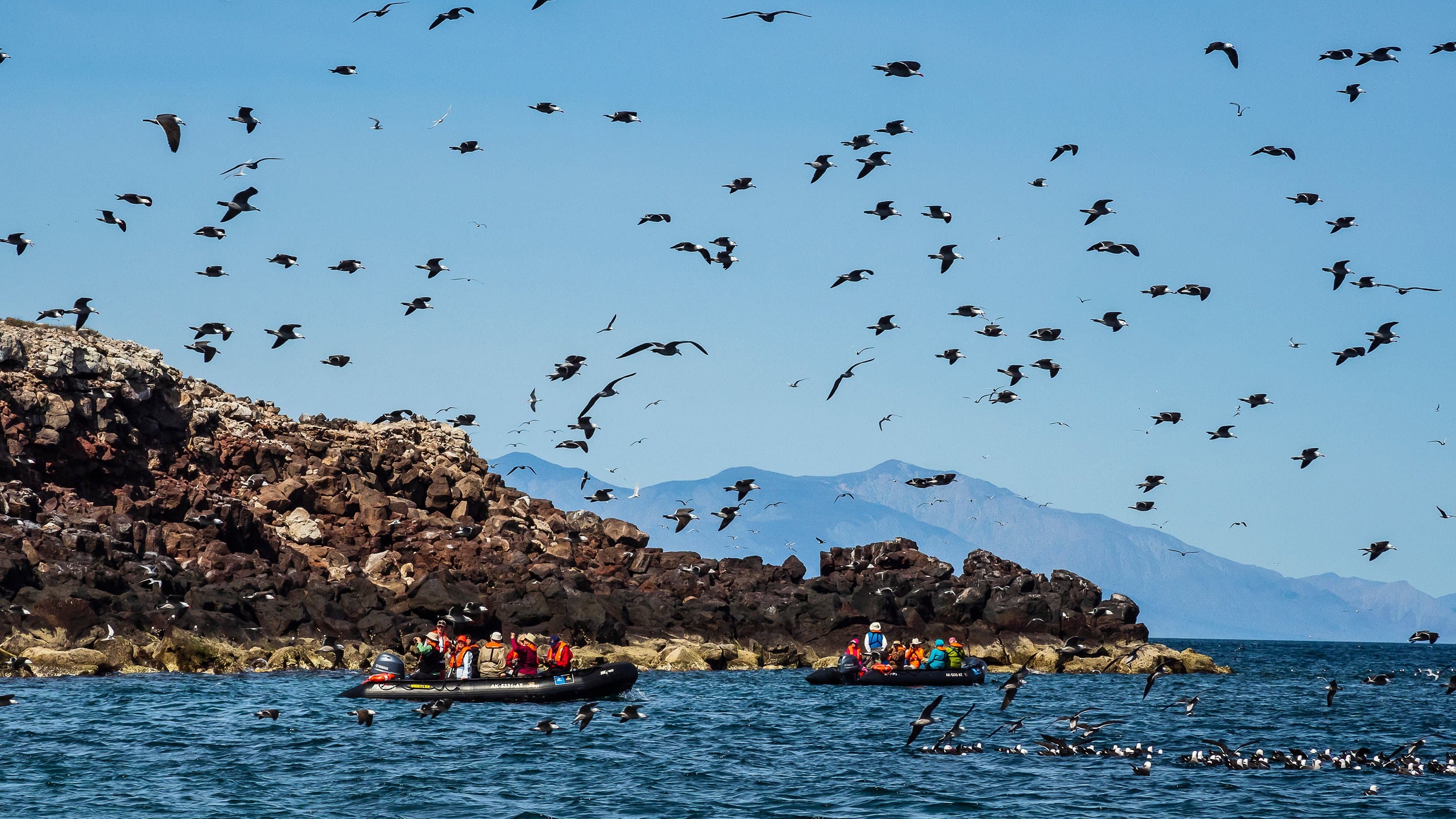 Large RGB-LEX-Mexico Baja California RLH-MX19-14488.jpg