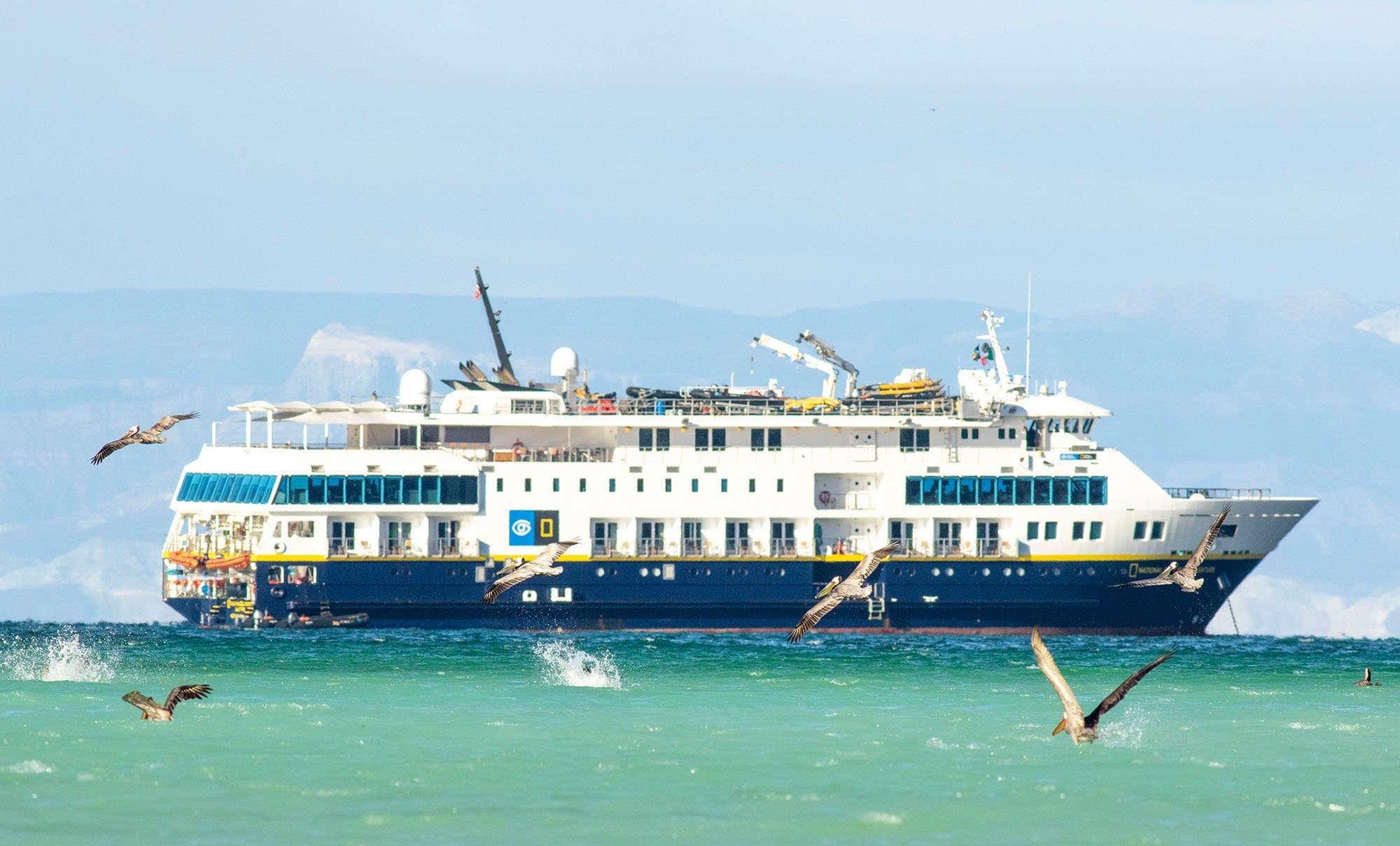National Geographic Venture surrounded by birds