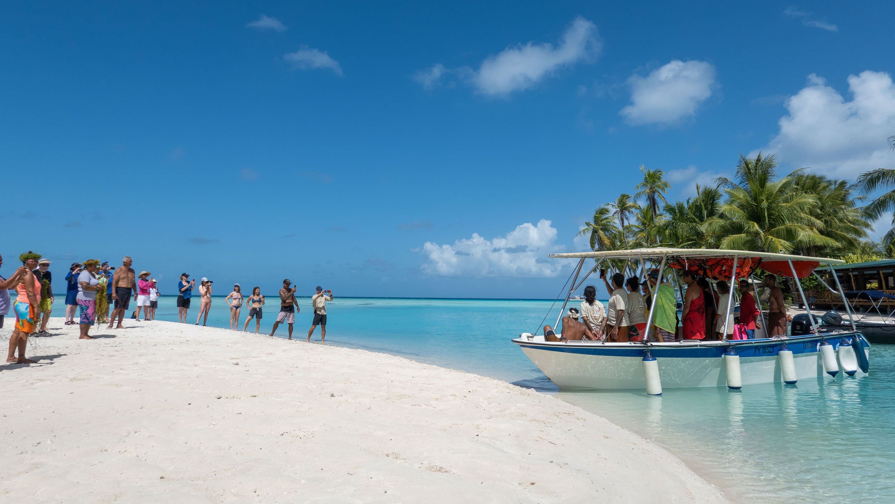 Photograph by: Javier Cotin, Naturalist