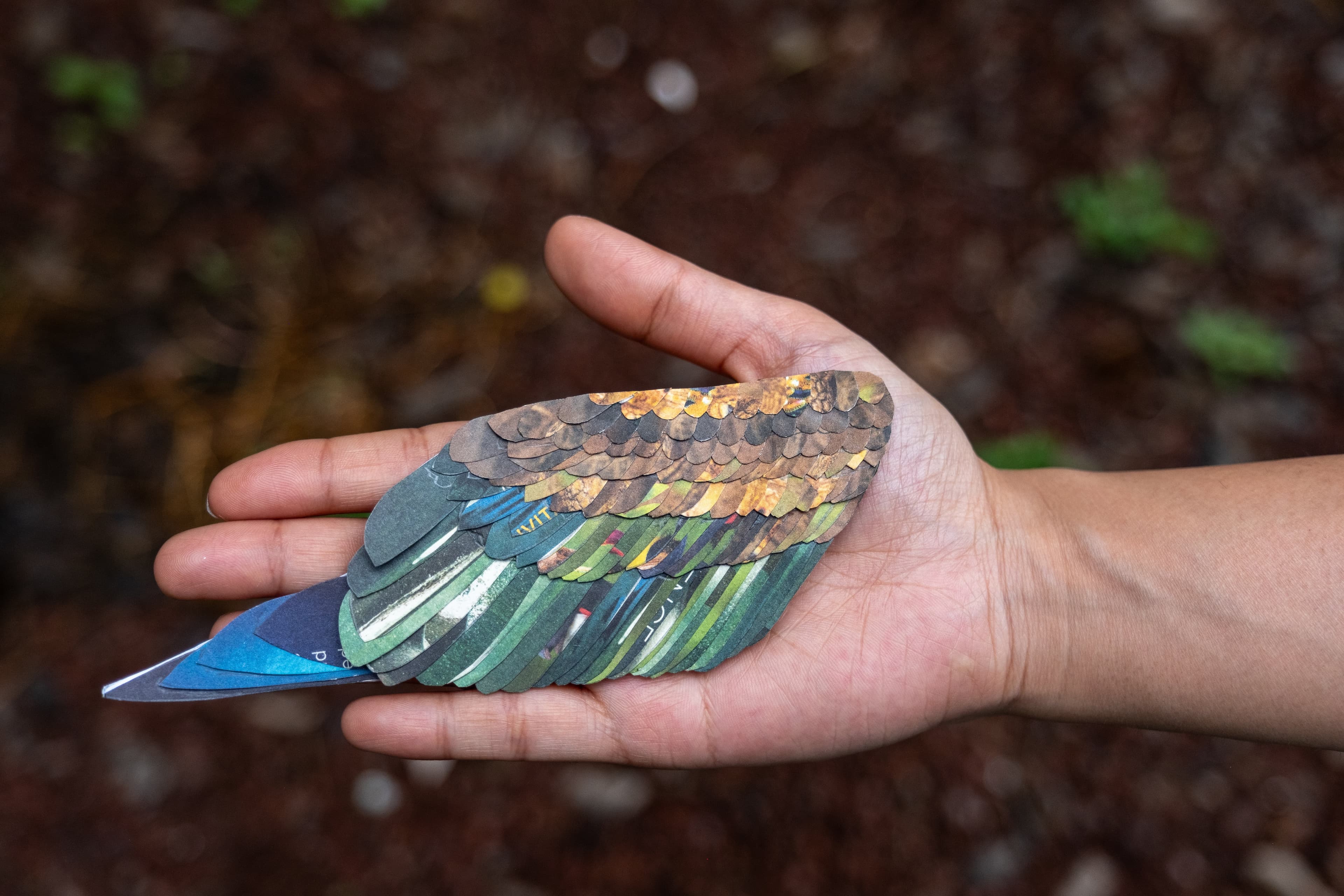 Large RGB-LEX-Ecuador Galapagos Islands - Paper Birds - ADC1877.jpg