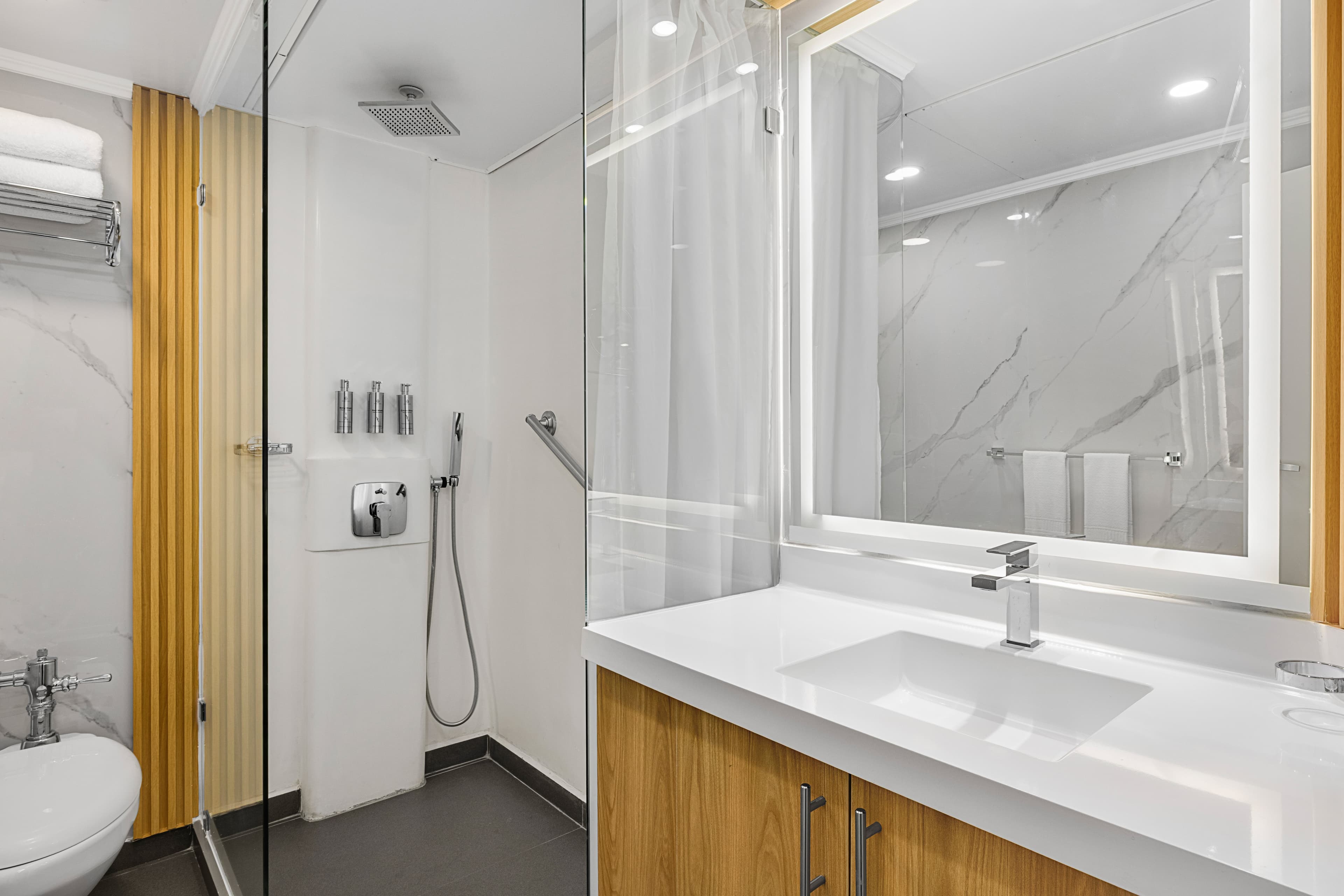 Large RGB-LEX-Ship NG Delphina Interior Cabin - Bathroom - DS7080.jpg