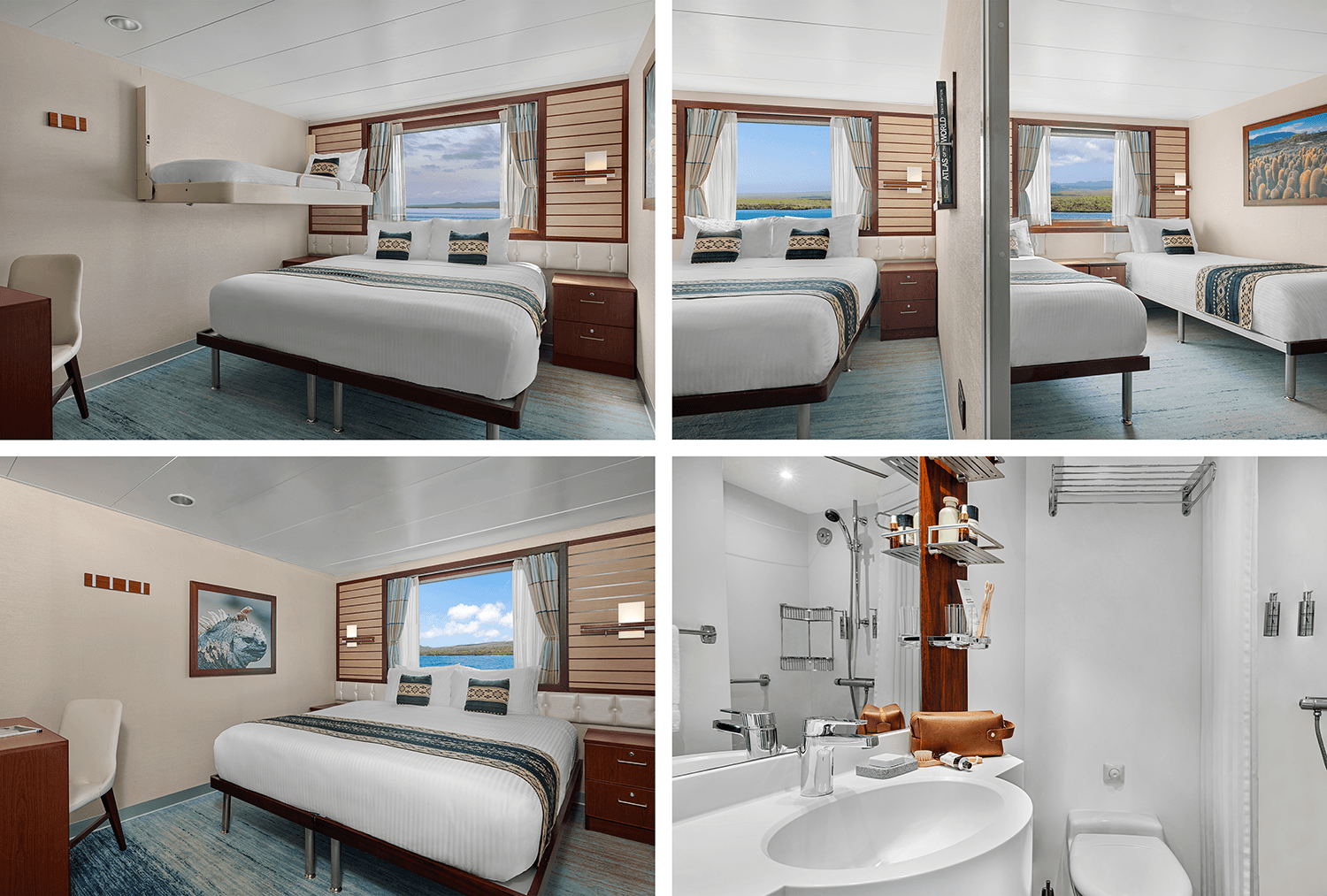 ETII_comp 5-cat 431.png