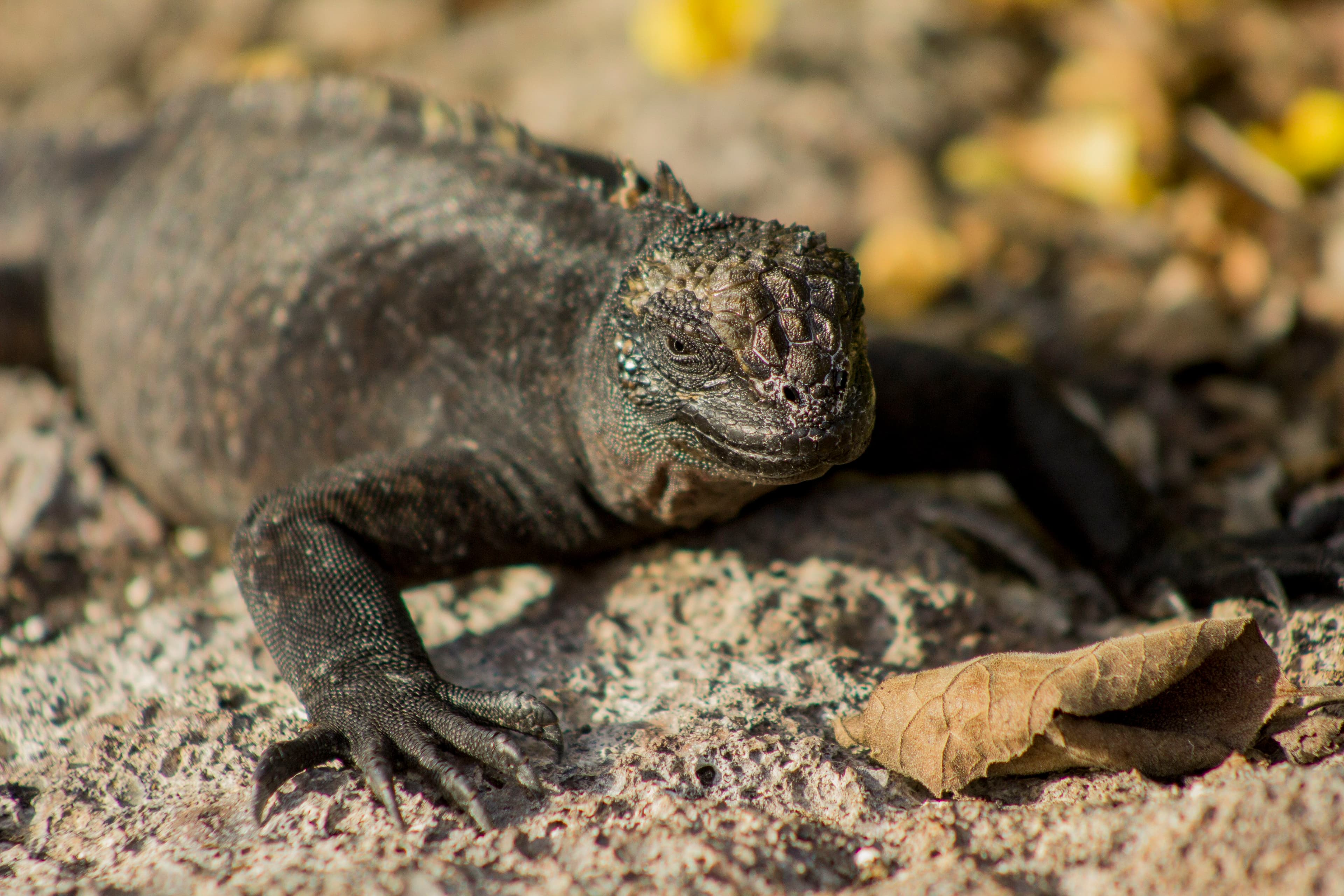 Photograph by: Omar Adrian