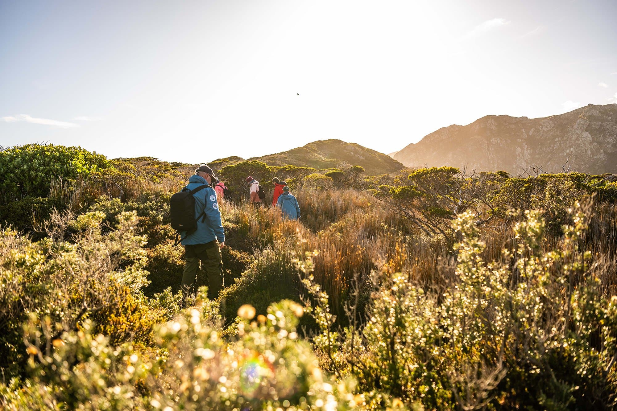 11_Large RGB-LEX-Argentina Patagonia Staten Island DV-AR24-419.jpg