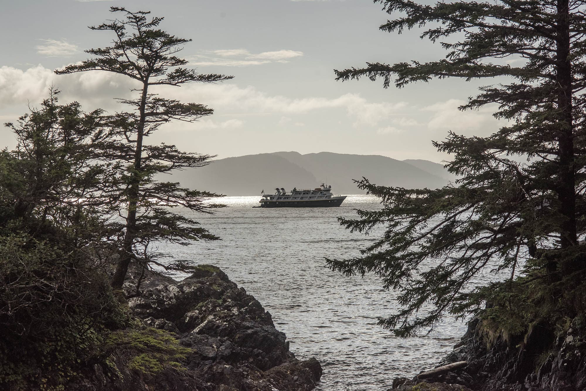 landscape with national geographic sea lion ship in background