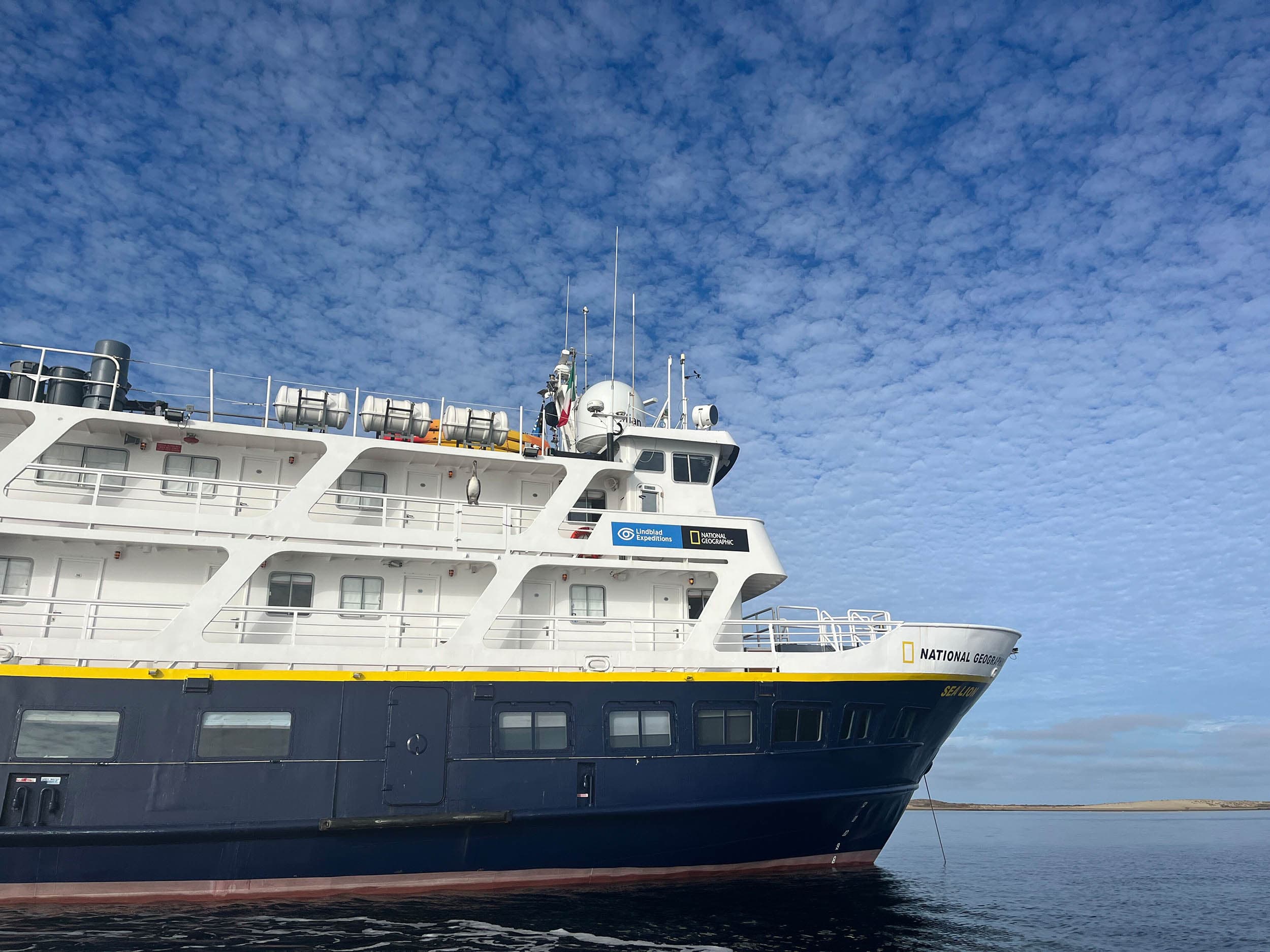 national geographic sea lion