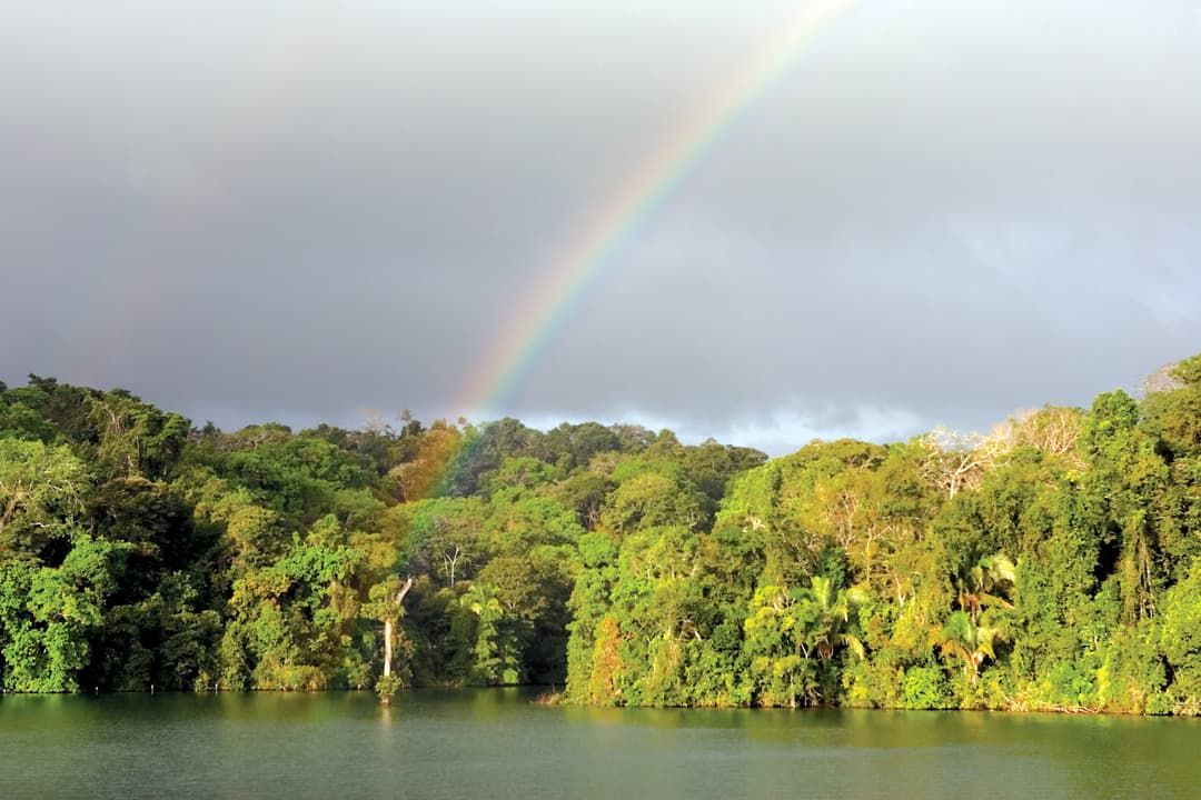 Get to Know Barro Colorado Island, Home to the Smithsonian Tropical Research Institute - Article