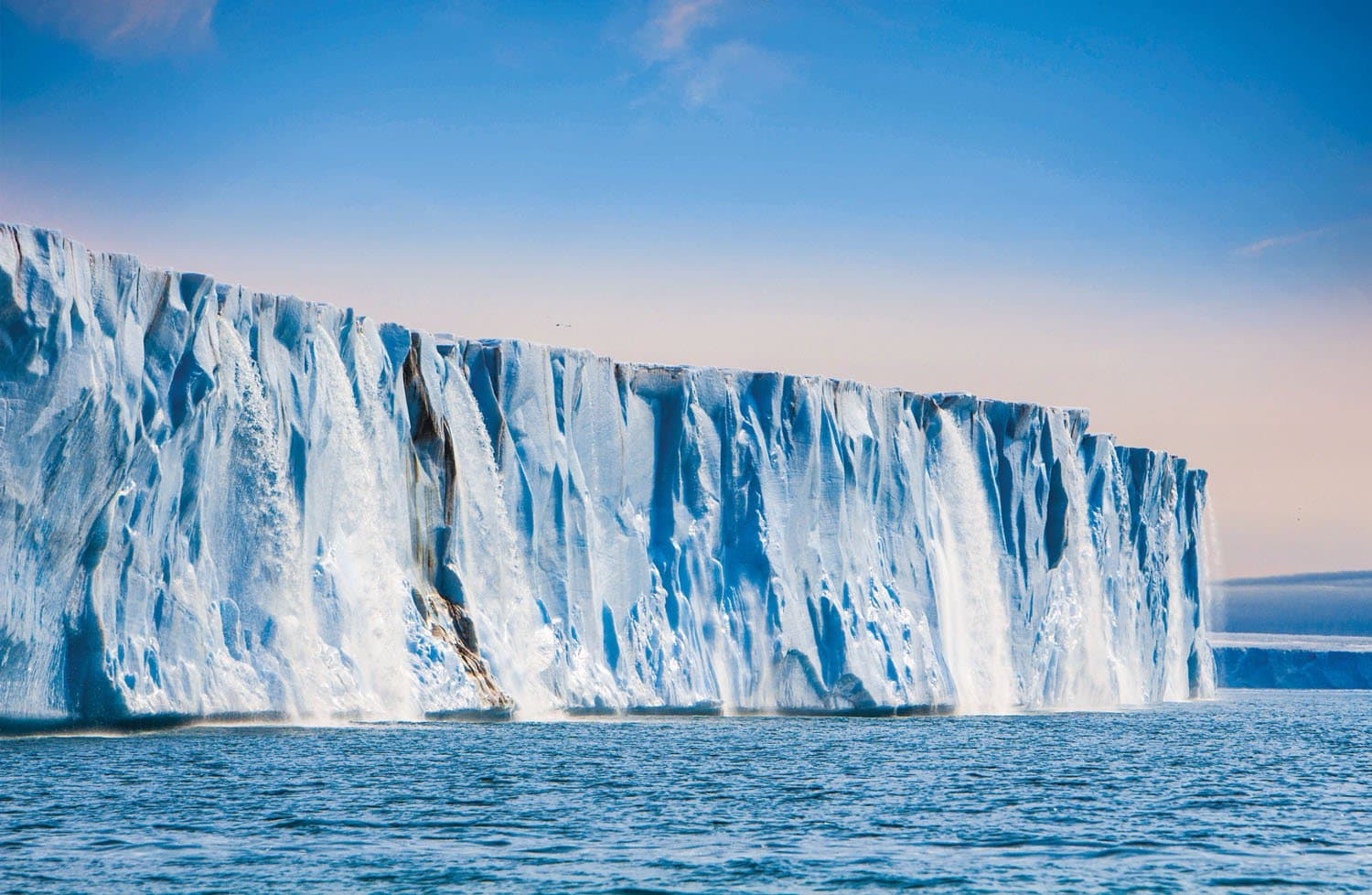 AR461_Mike Greenfleder.jpg