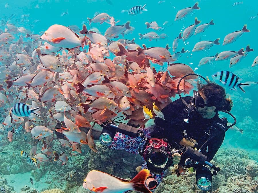 Diving in the Aquarium at Rangiroa.jpg