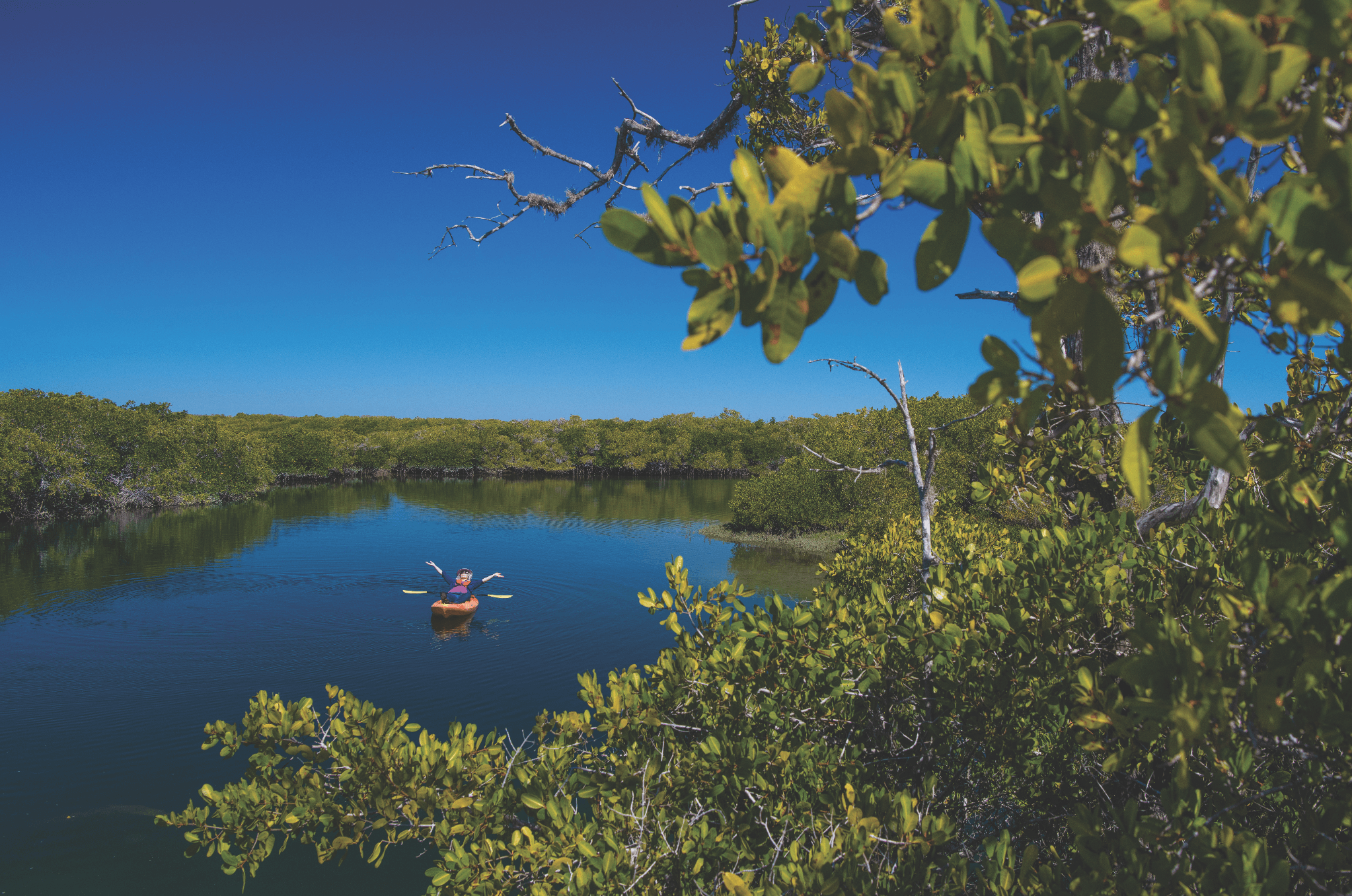 Hero Image Punta Lengua-093-2.jpg