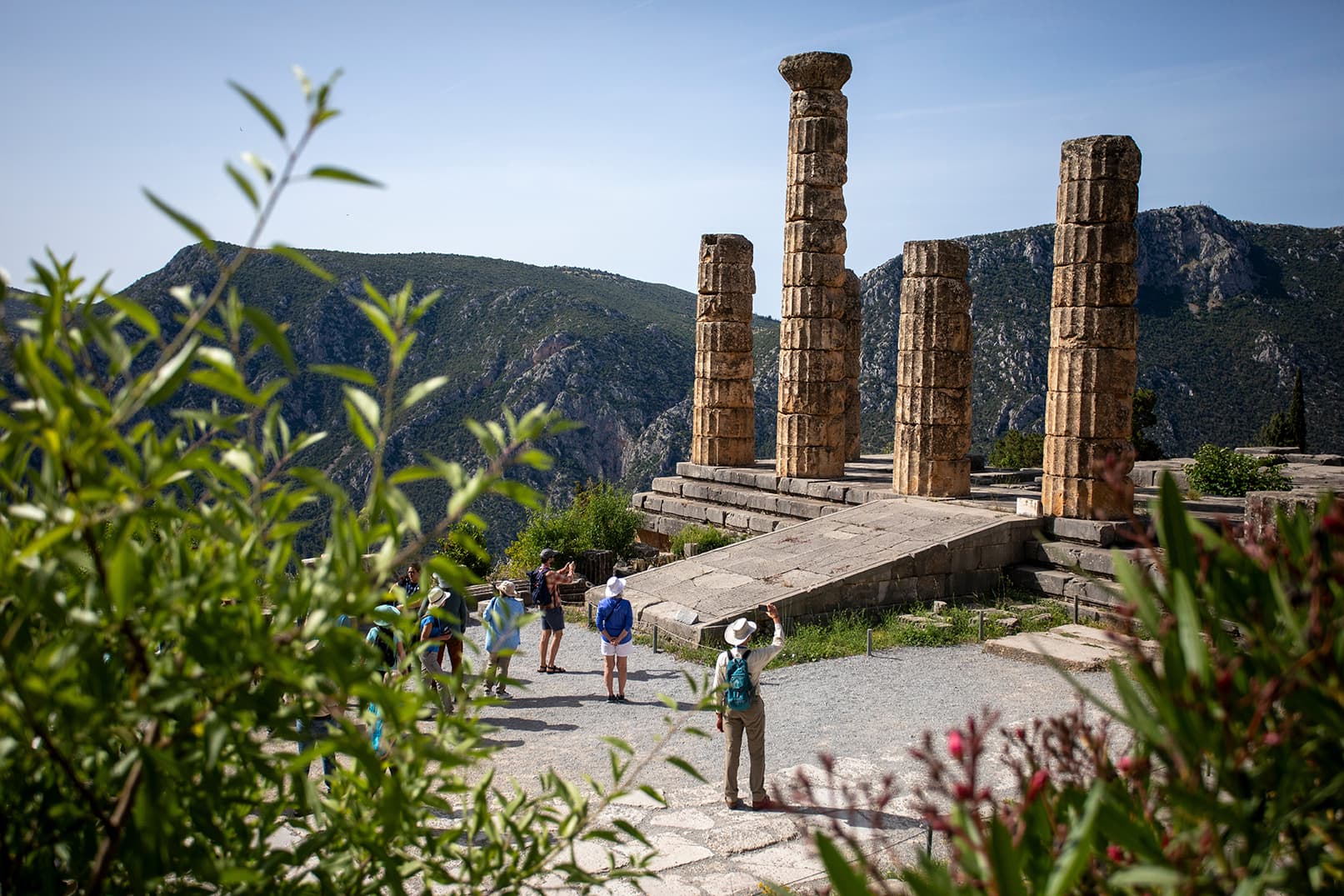 Greece Phocis Delphi GGL4B8A7872