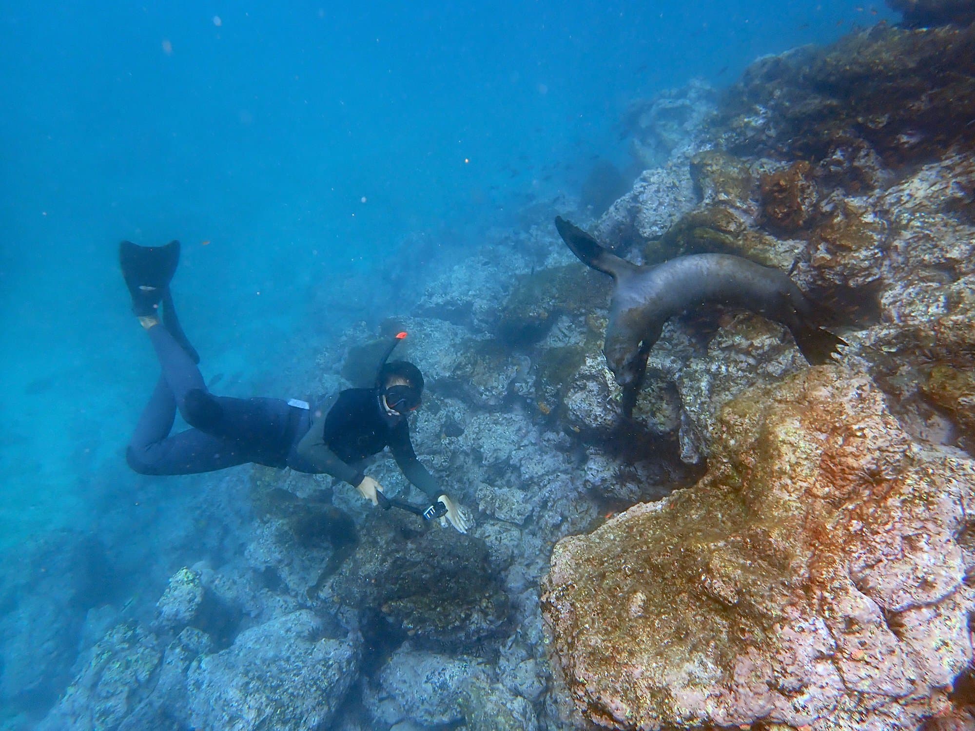 Photograph by: Cindy Manning