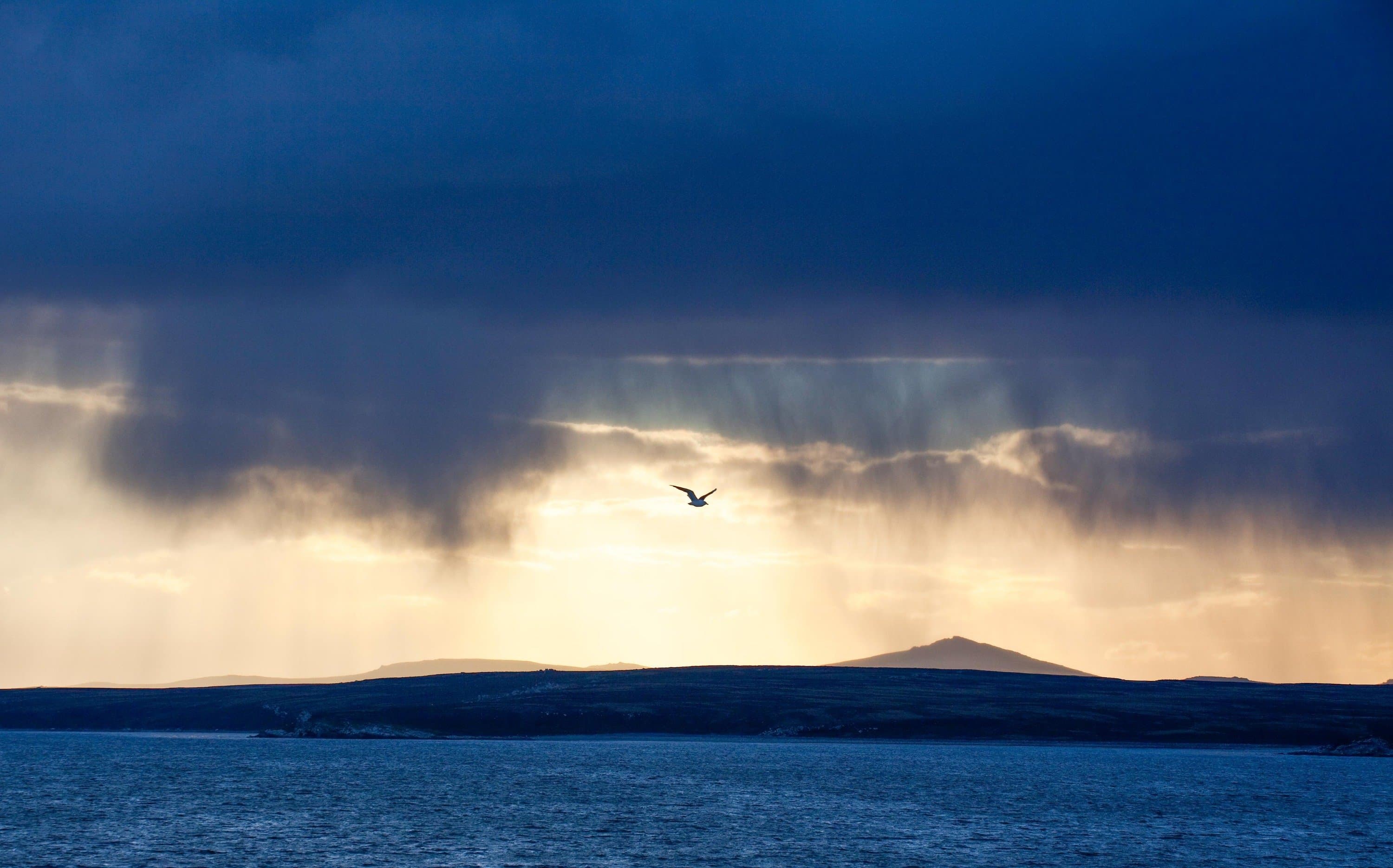 Hero Image falklands.jpg