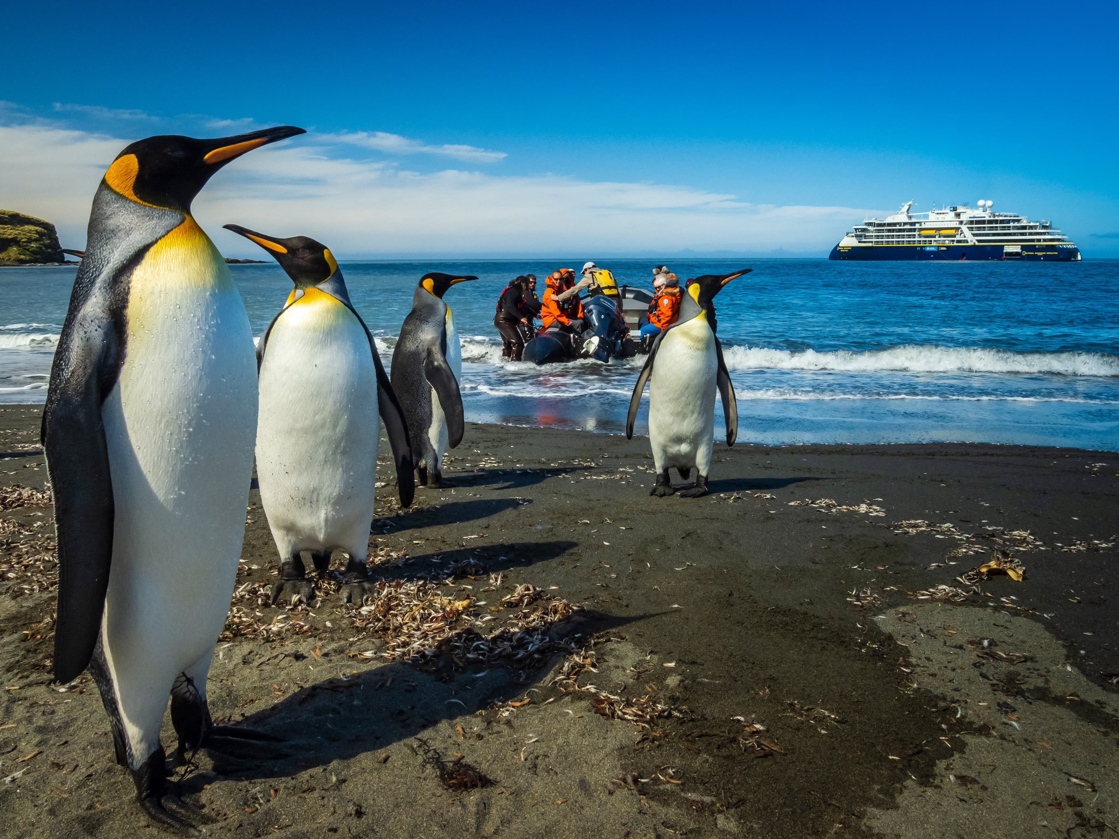 King Penguins and Zodiac landing at St. Andrews Bay, South Georgia