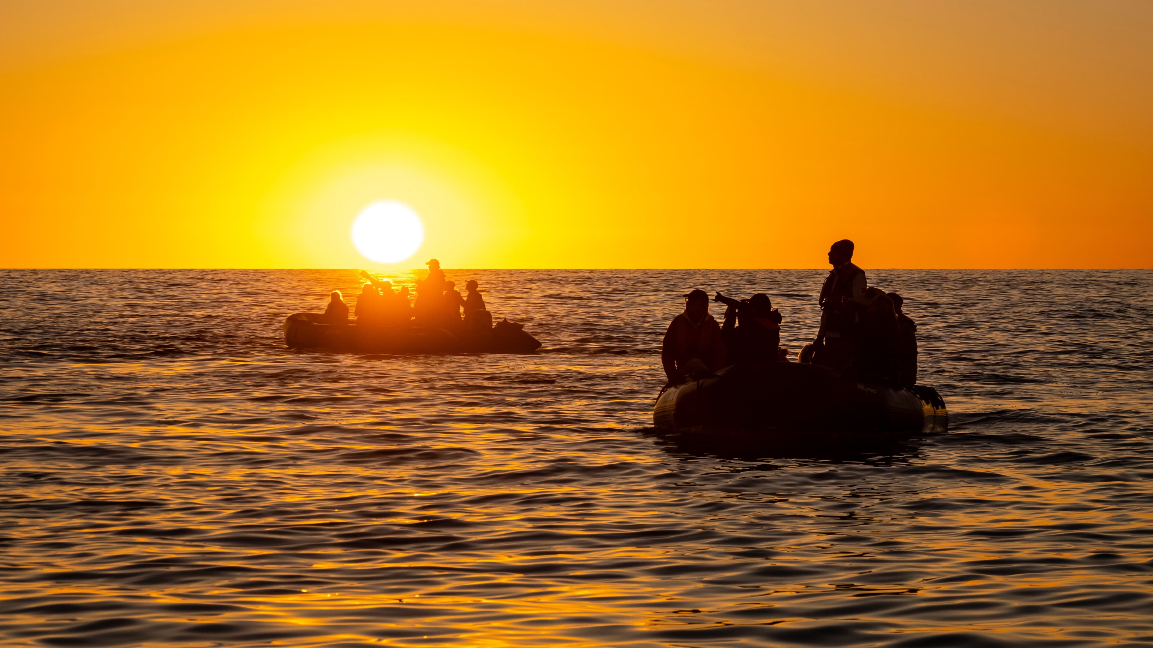 Hero Image Large RGB-Lindblad Expeditions-Mexico Gulf of California BAJA23-33076.jpg