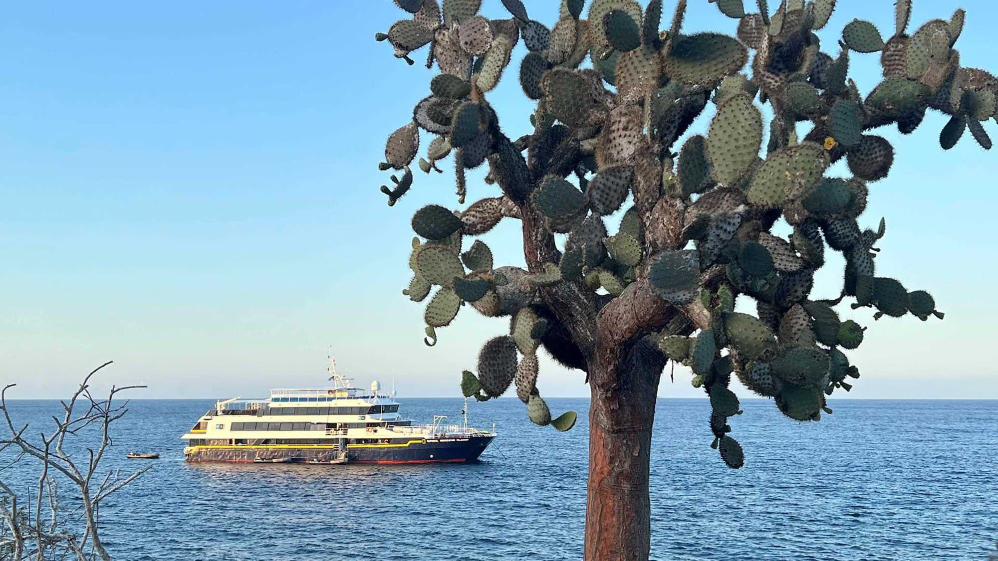 Photograph by: Ixora Berdonces