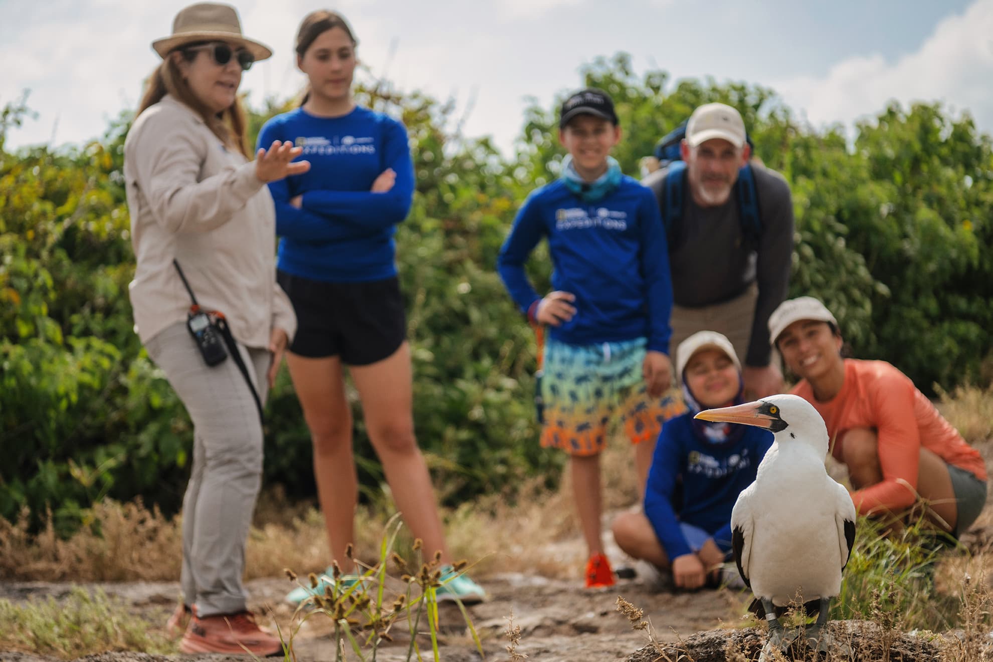 Ecuador Galapagos Islands Genovesa Island DV5034