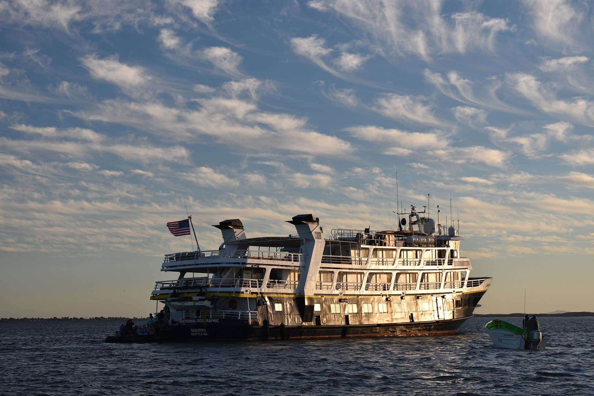 national geographic sea bird