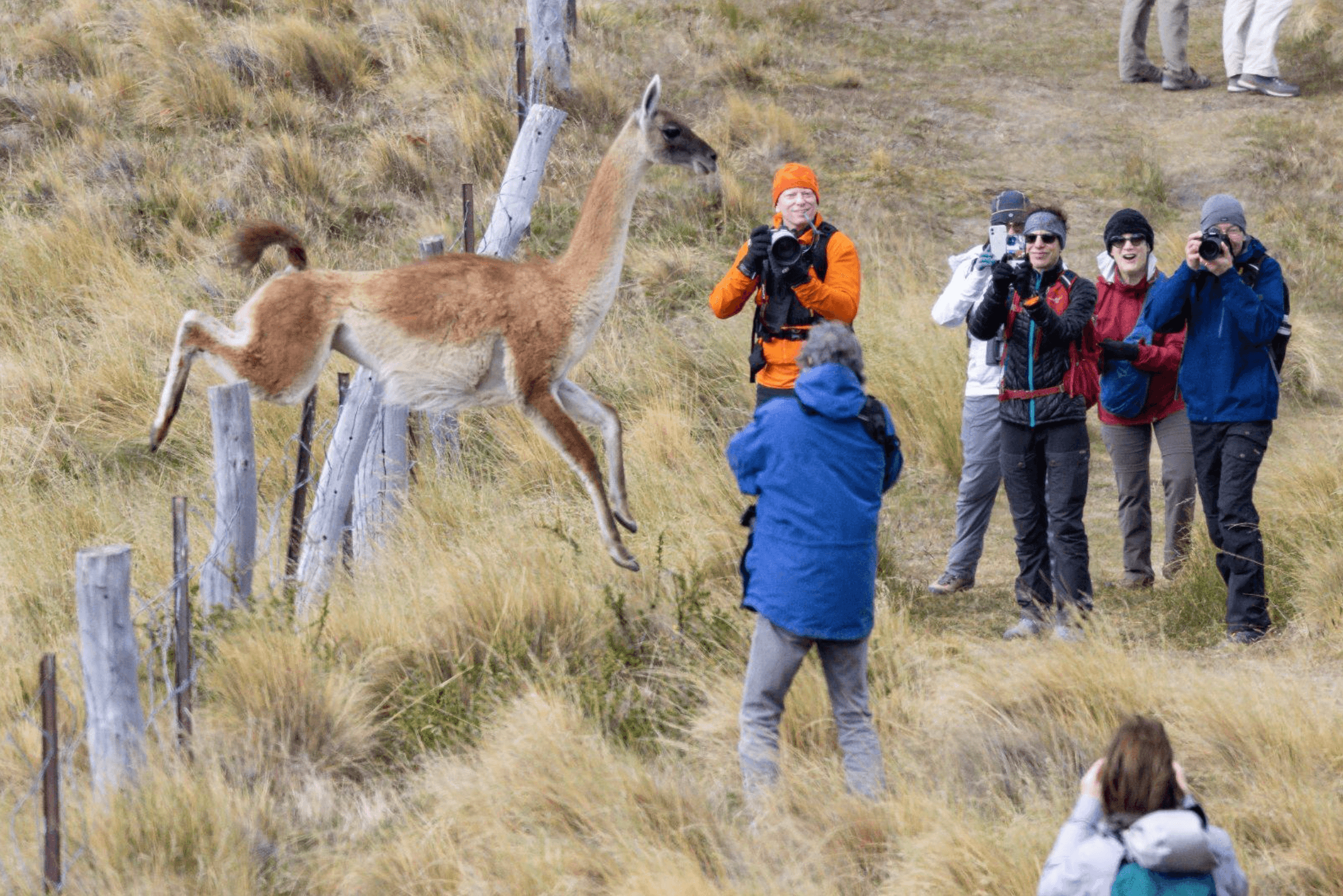 orres del Paine National Park.jpg