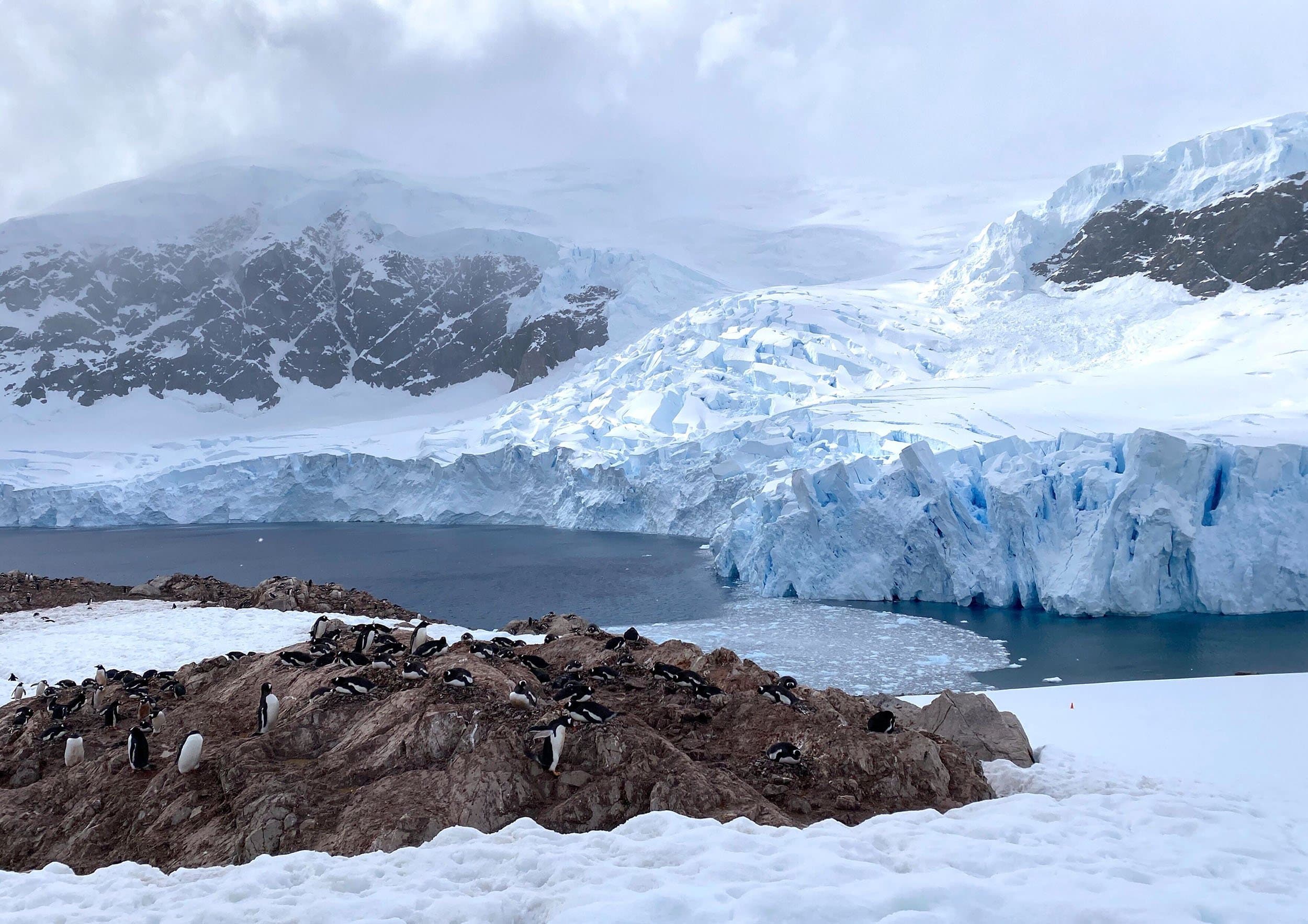 a rock full of penguins in the foreground in front of water