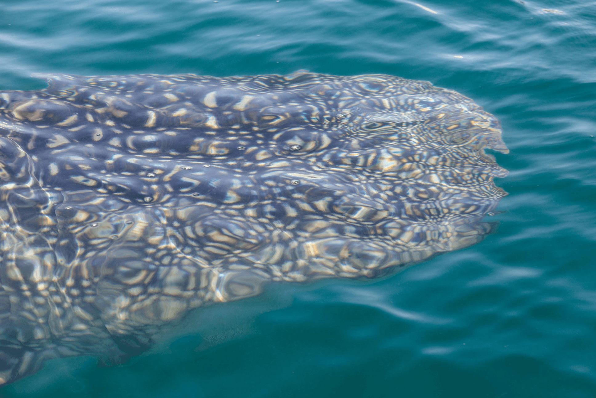 Golfito & Rio Seco.jpg