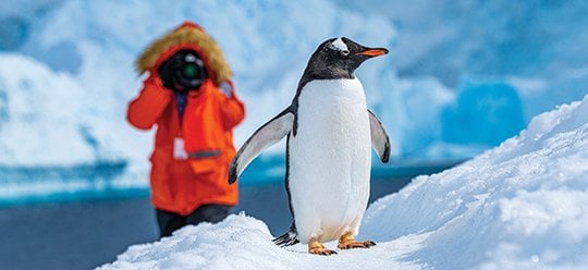 lex-antarctica-ds-