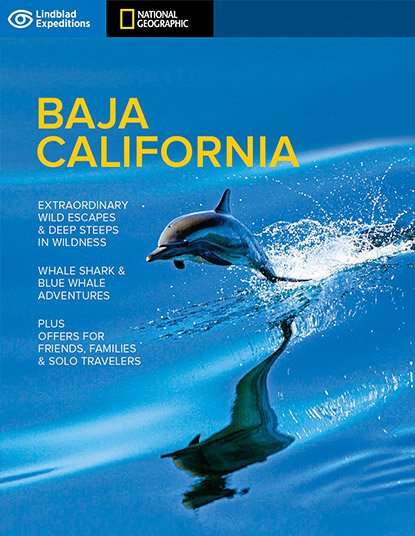 Baja California 2021-2022