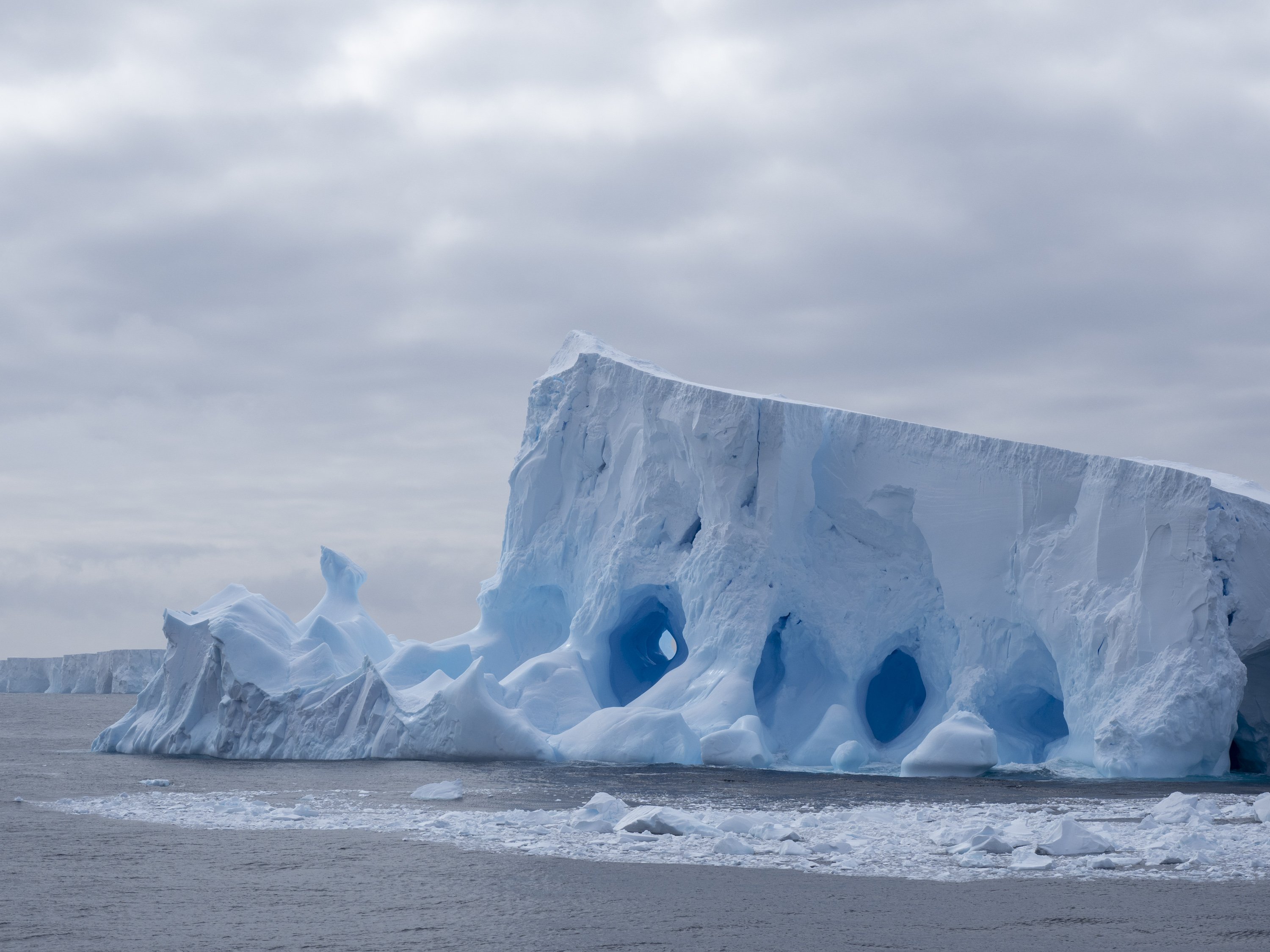 Coronation Island & Monroe Island | 1-13-2022 | National Geographic ...