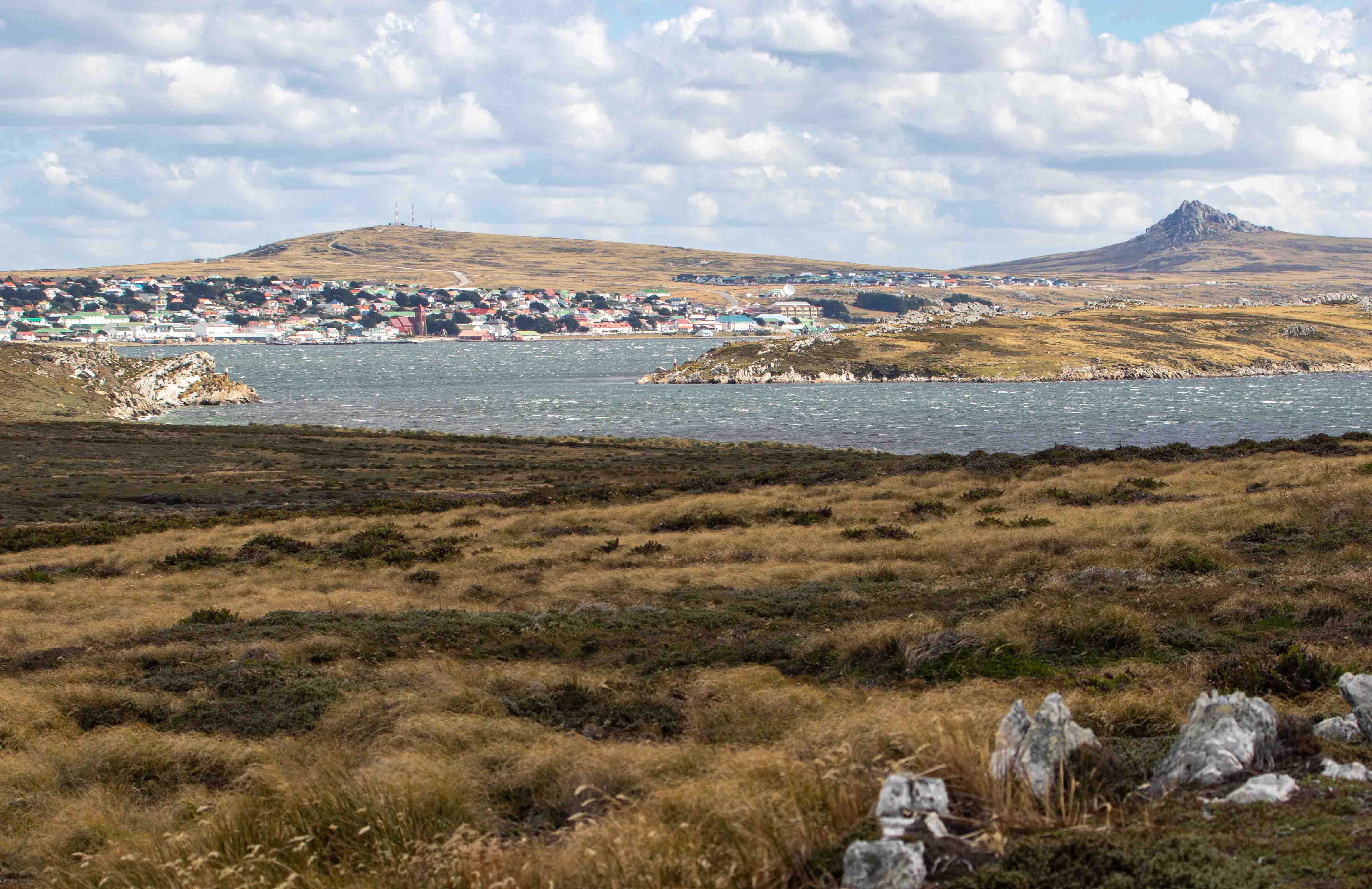 Stanley Falkland Islands 3 2 2023 National Geographic Endurance   Ed030223 A 