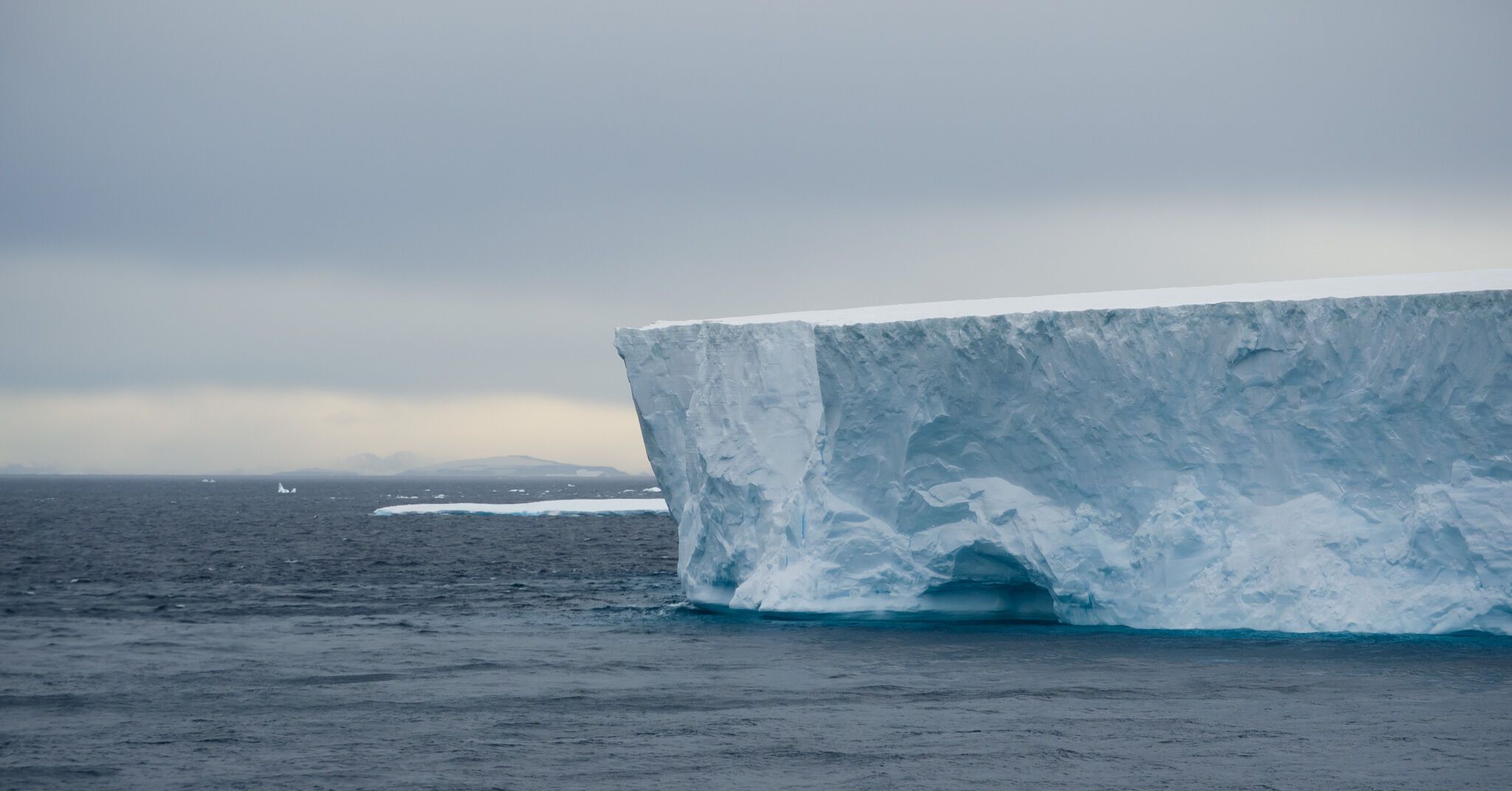 Tay Head, Joinville Island | 2-1-2023 | National Geographic Resolution ...