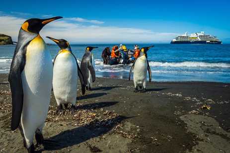 King Penguins and Zodiac landing at St. Andrews Bay, South Georgia