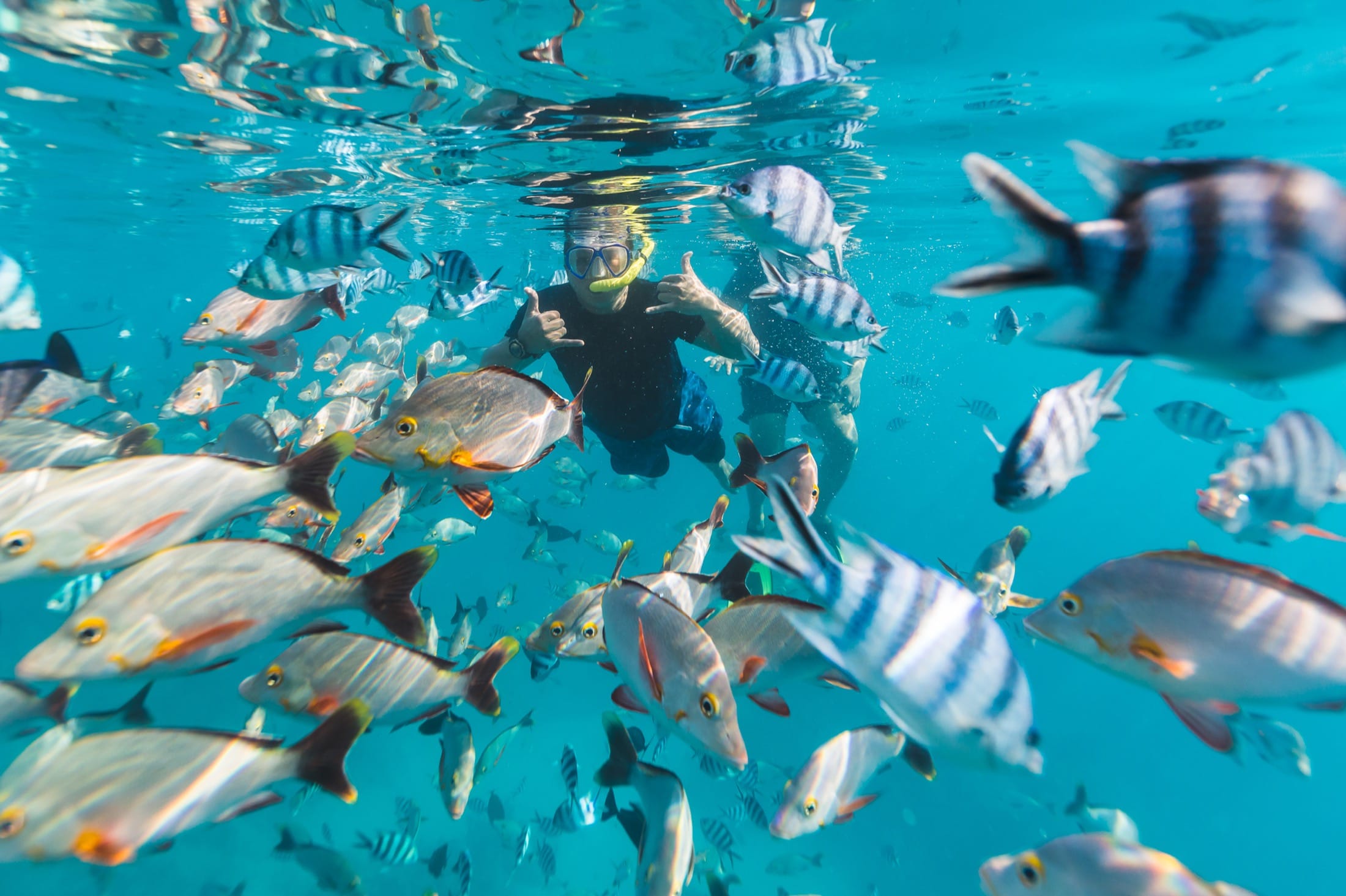 7 Exceptional Snorkeling Spots Around the Globe