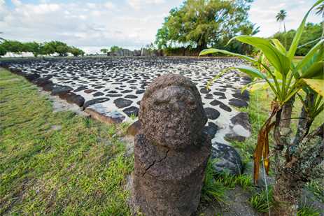 The marae of Taputapuātea (Ra'iatea, Society Islands) in 2016: nature, age and origin of coral erected stones