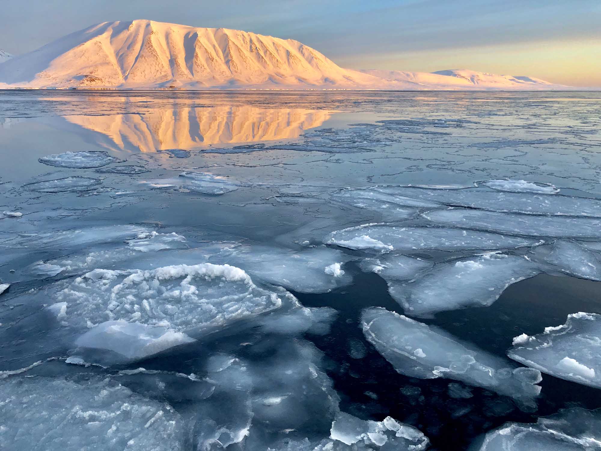 Arctic mountain reflected in sea ice