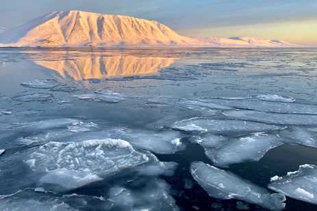 Arctic mountain reflected in sea ice