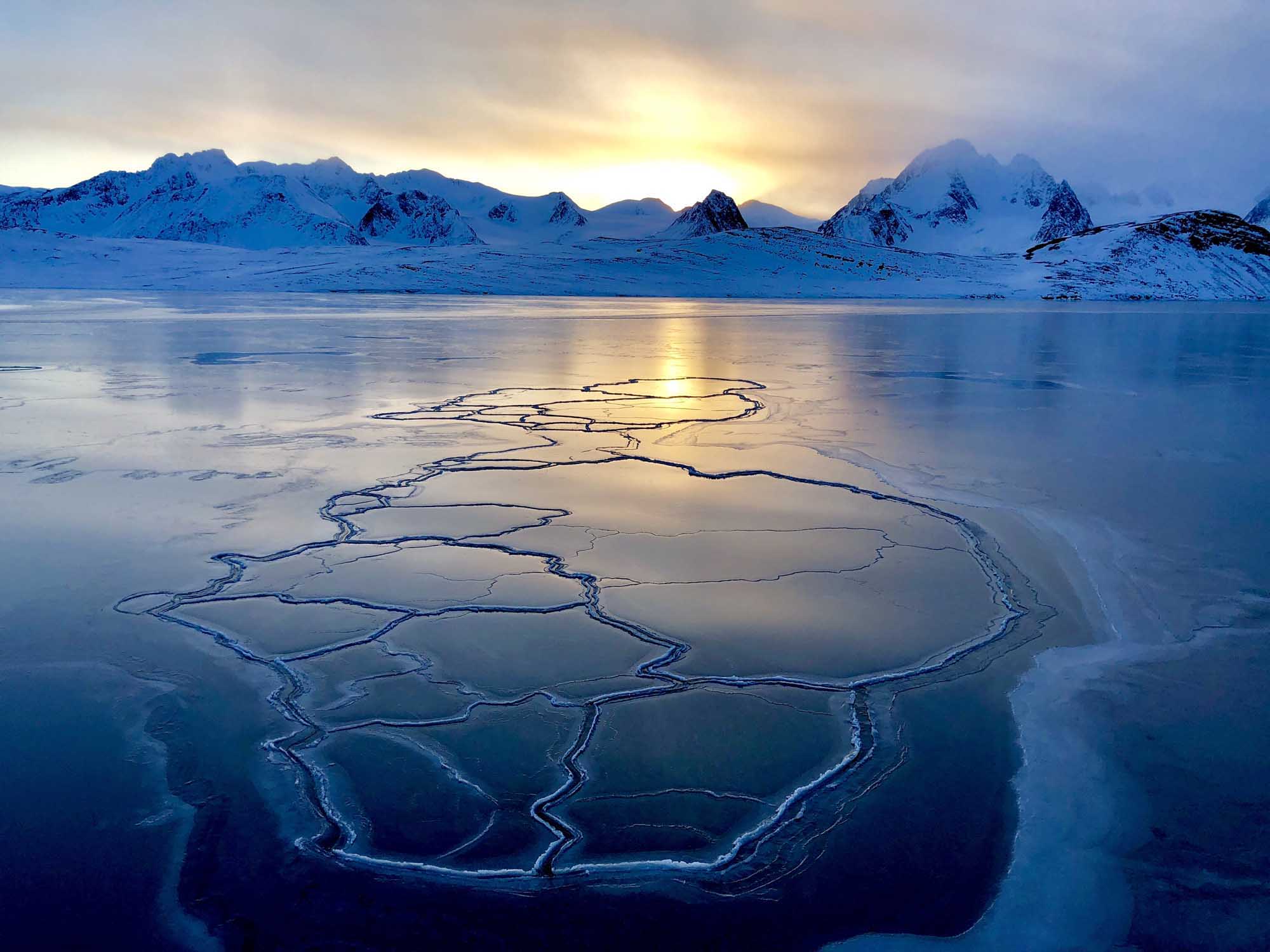 Arctic sea ice lit by the sun