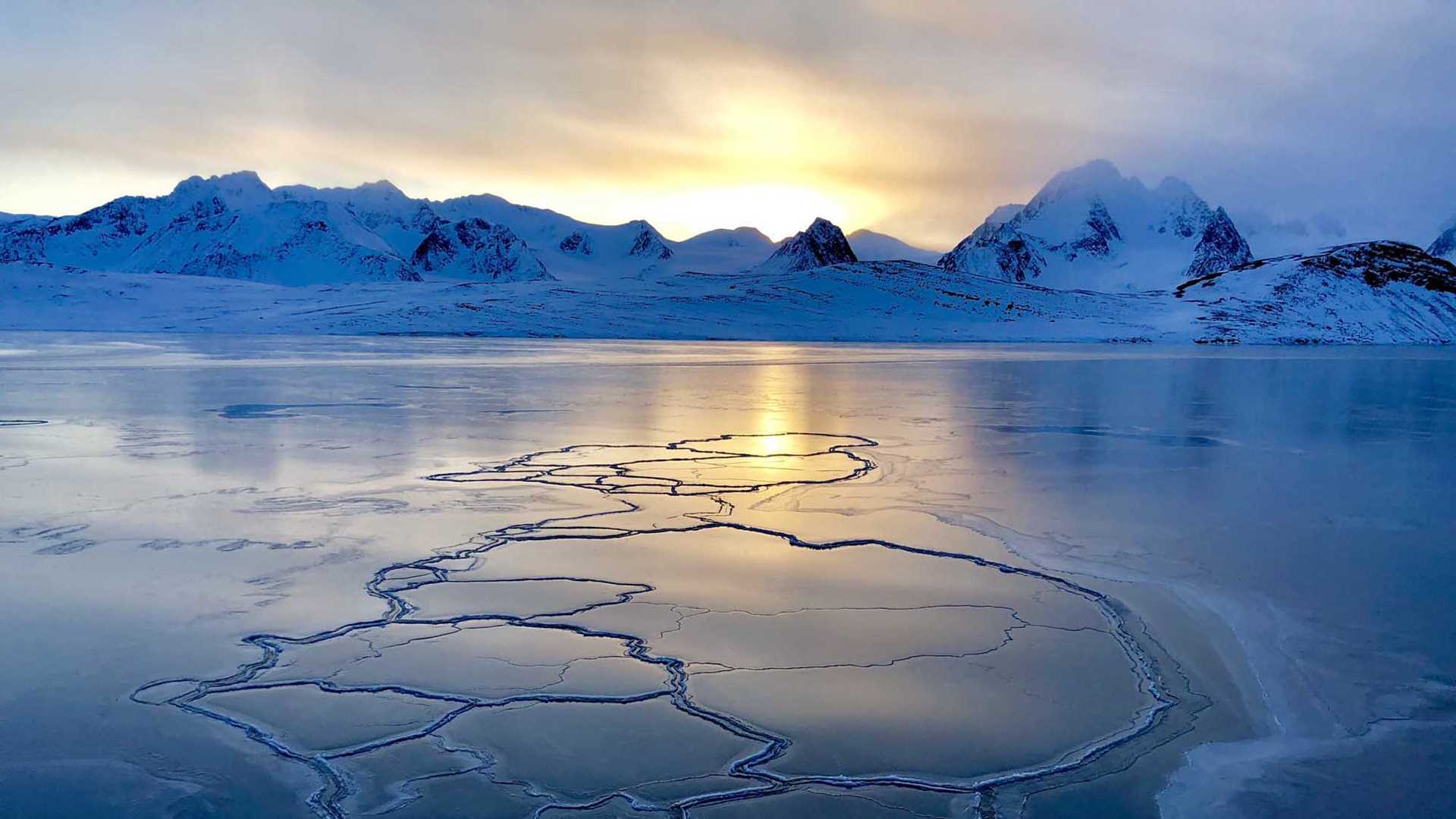 Arctic sea ice lit by the sun