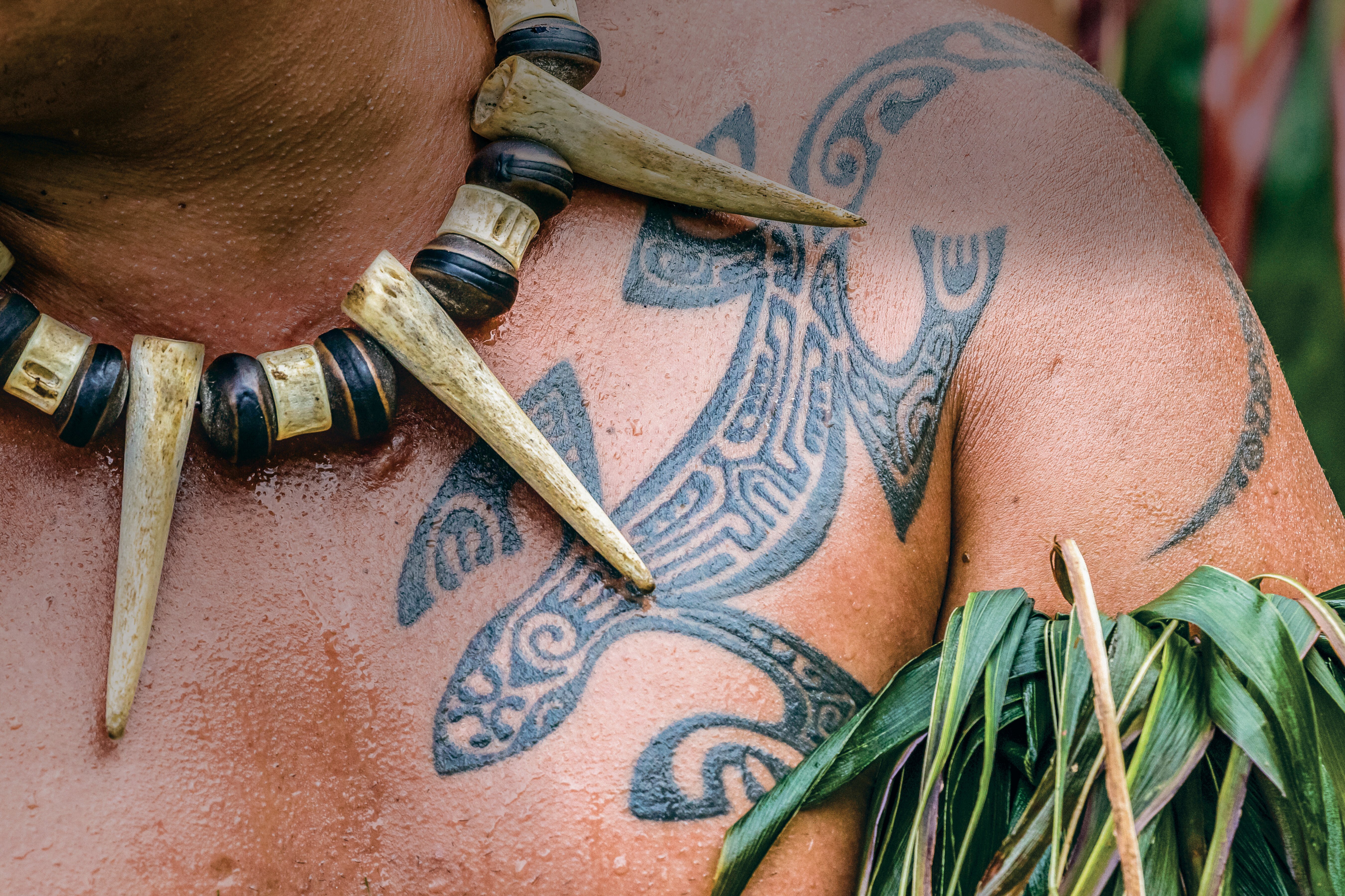 Tatau: The marks of Polynesia | Go Tours Hawaii