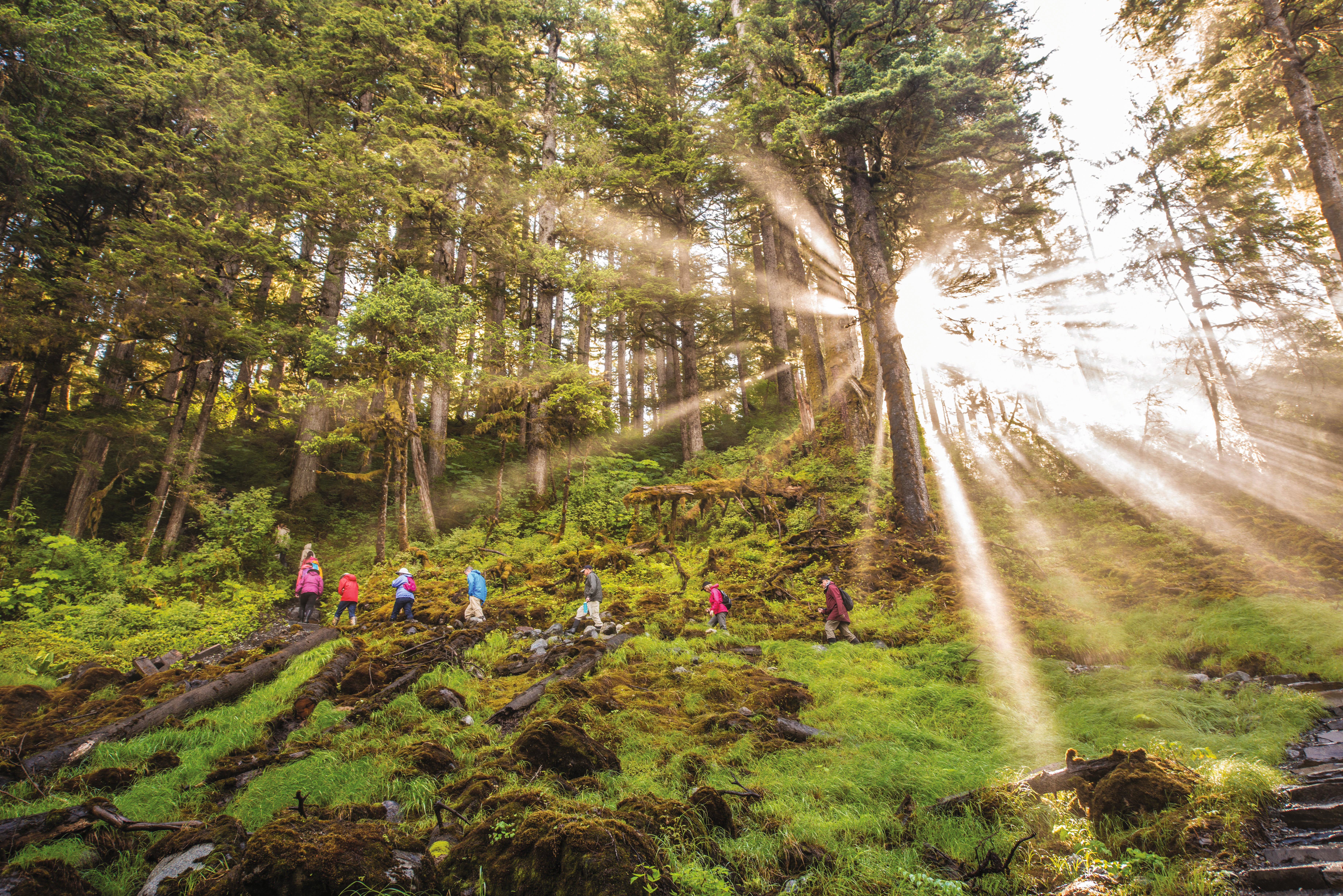 Guests hiking Cascade Creek Trail, Thomas Bay, Tongass National Forest, Southeast Alaska, USA