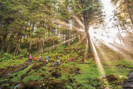 Guests hike through a lush forest in Alaska