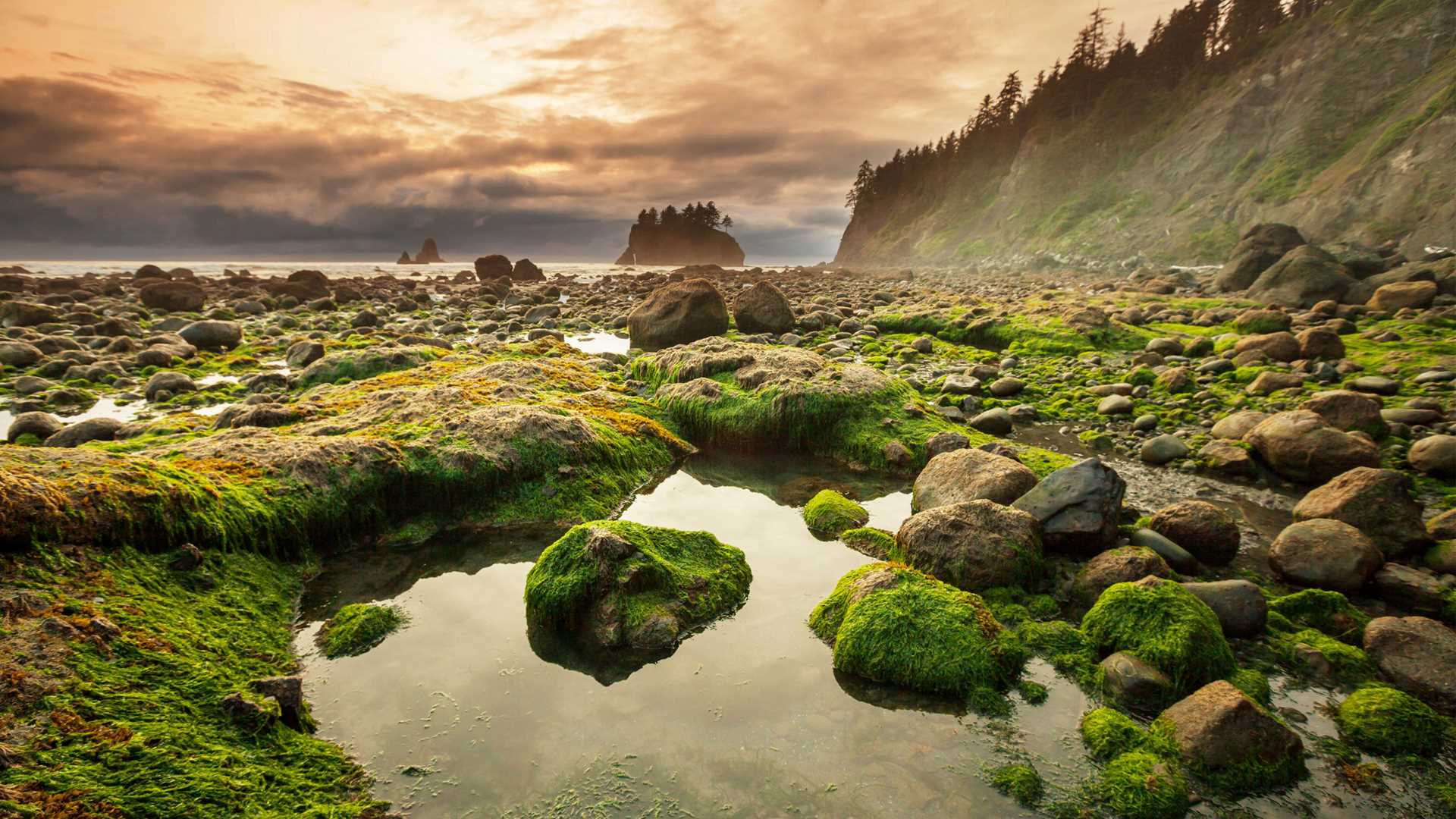 coastal landscape - rocks and moss with an island in the background